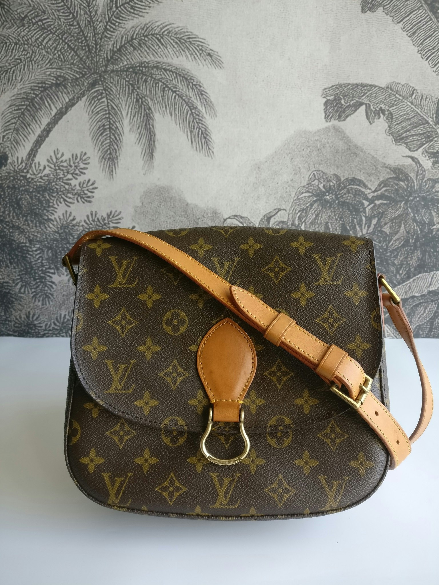 Louis Vuitton Saint Cloud GM Bags Brown Leather ref.618566 - Joli