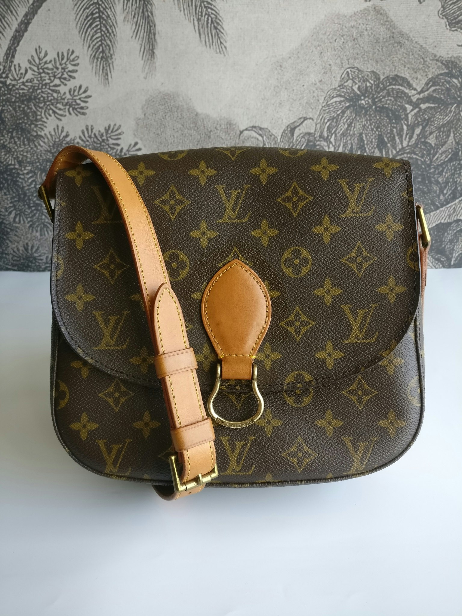 Louis Vuitton Saint Cloud new model - Good or Bag