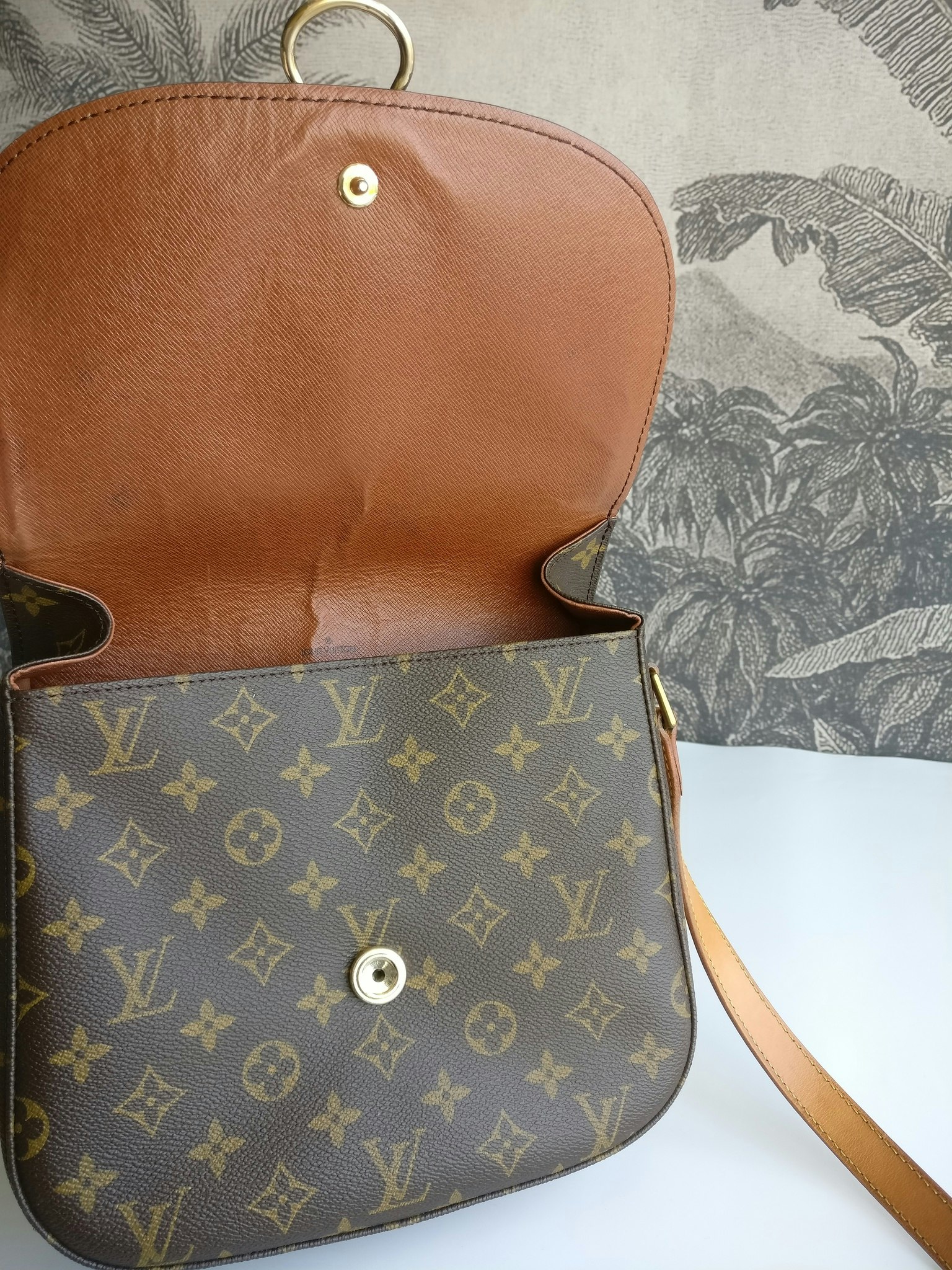 Louis Vuitton Monogram Saint Cloud GM Bag