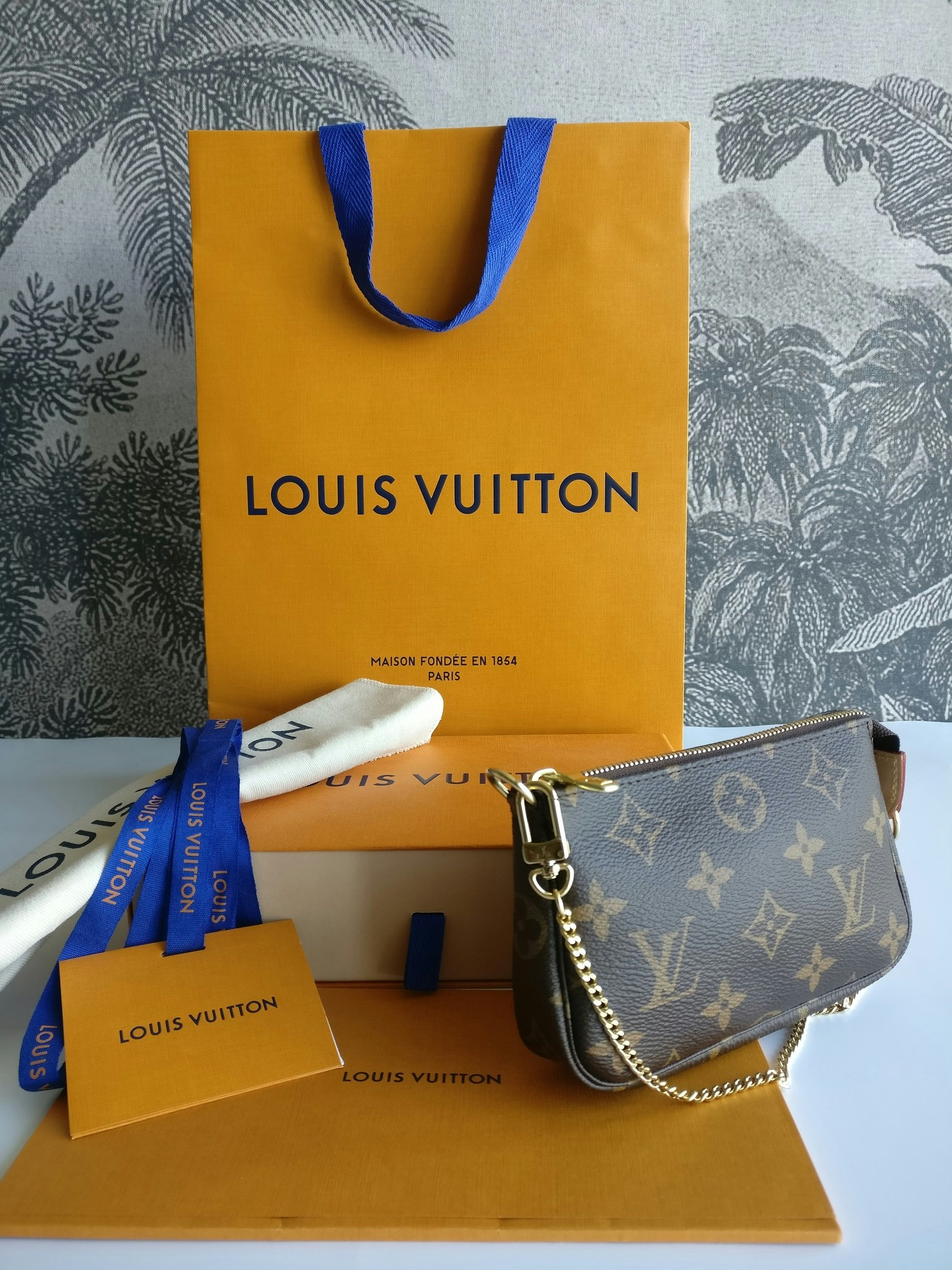 Louis Vuitton Mini Pochette Accessoires or Milla clutch..? – Buy the  goddamn bag