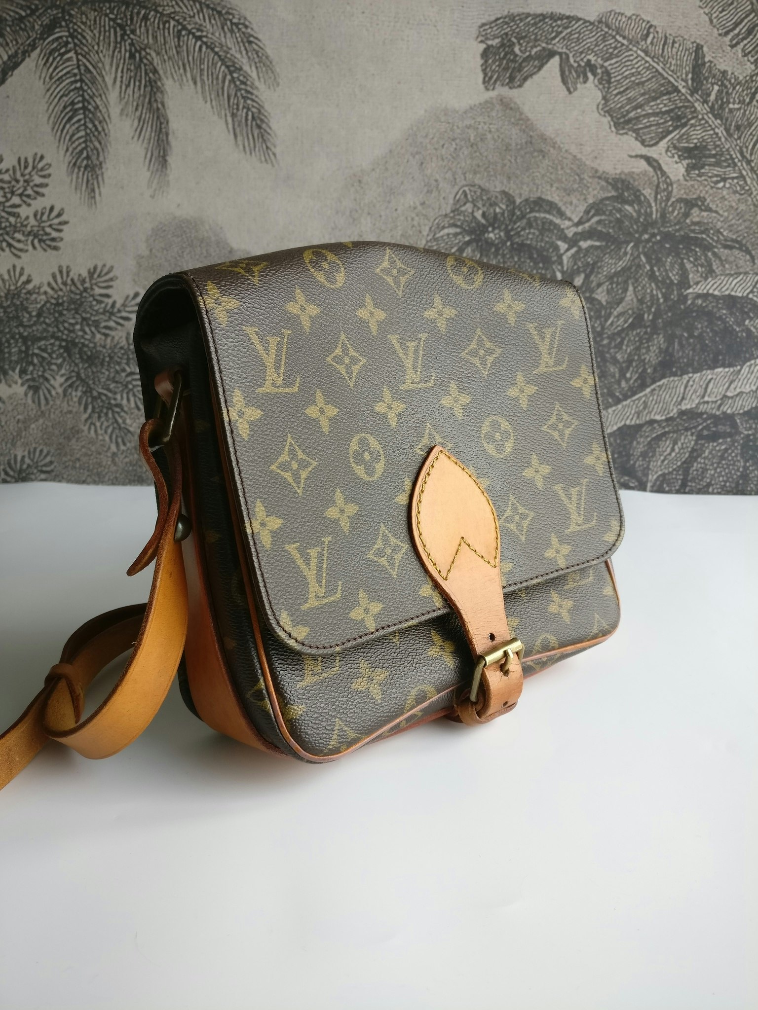 Louis Vuitton Cartouchiere MM