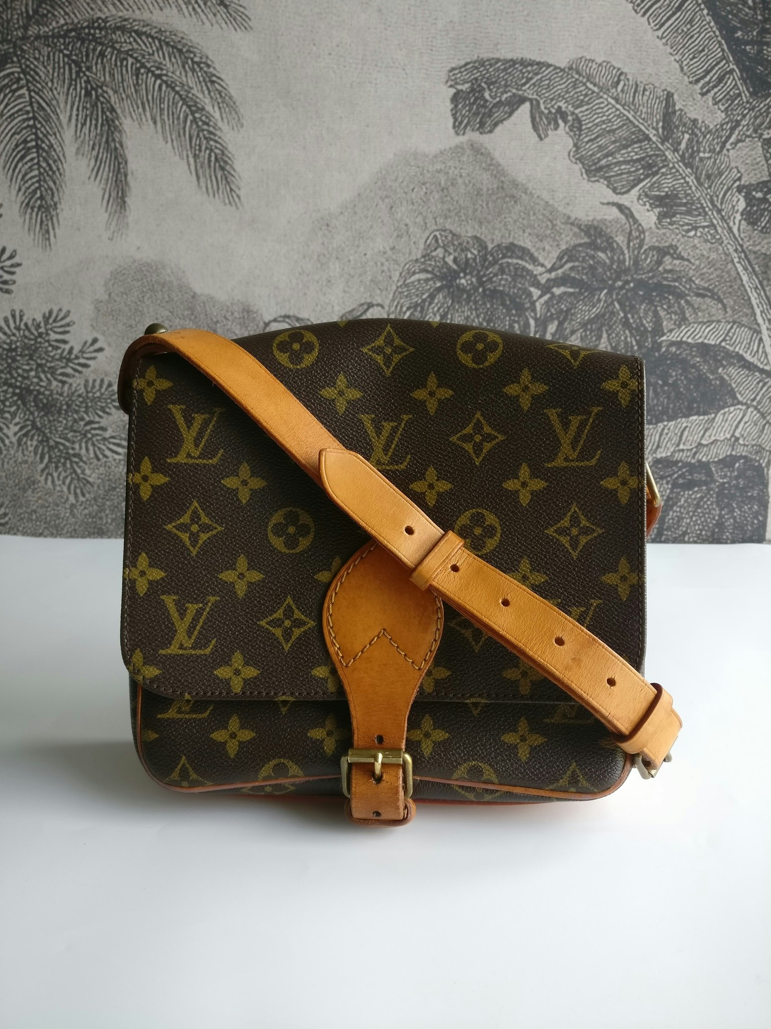 Louis Vuitton Cartouchiere MM