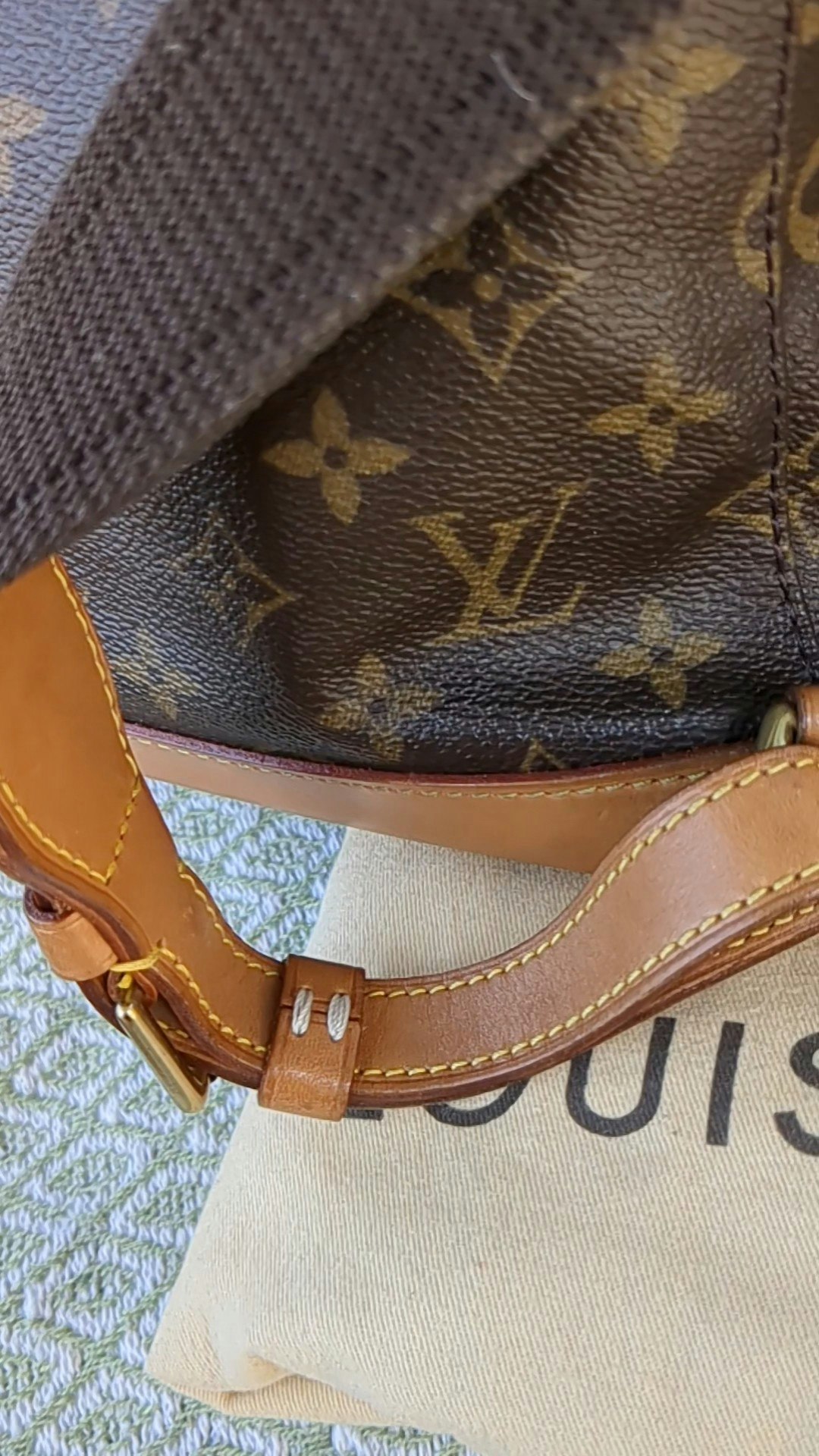 Louis Vuitton Montsouris GM backpack