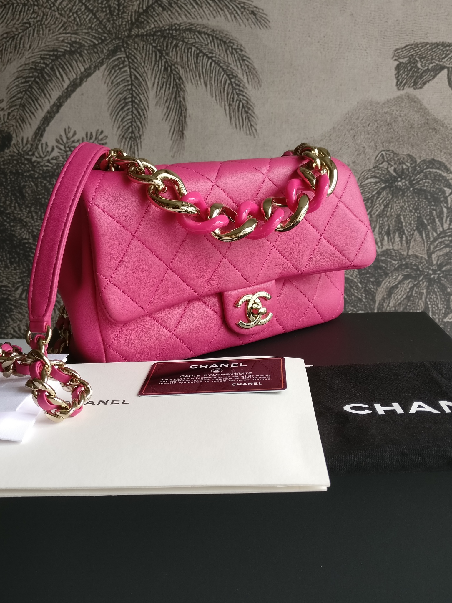 Chanel Elegant Chain Bag