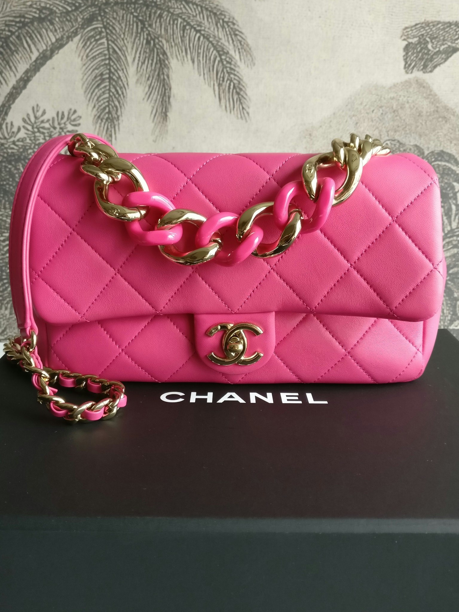 Chanel Elegant Chain Bag