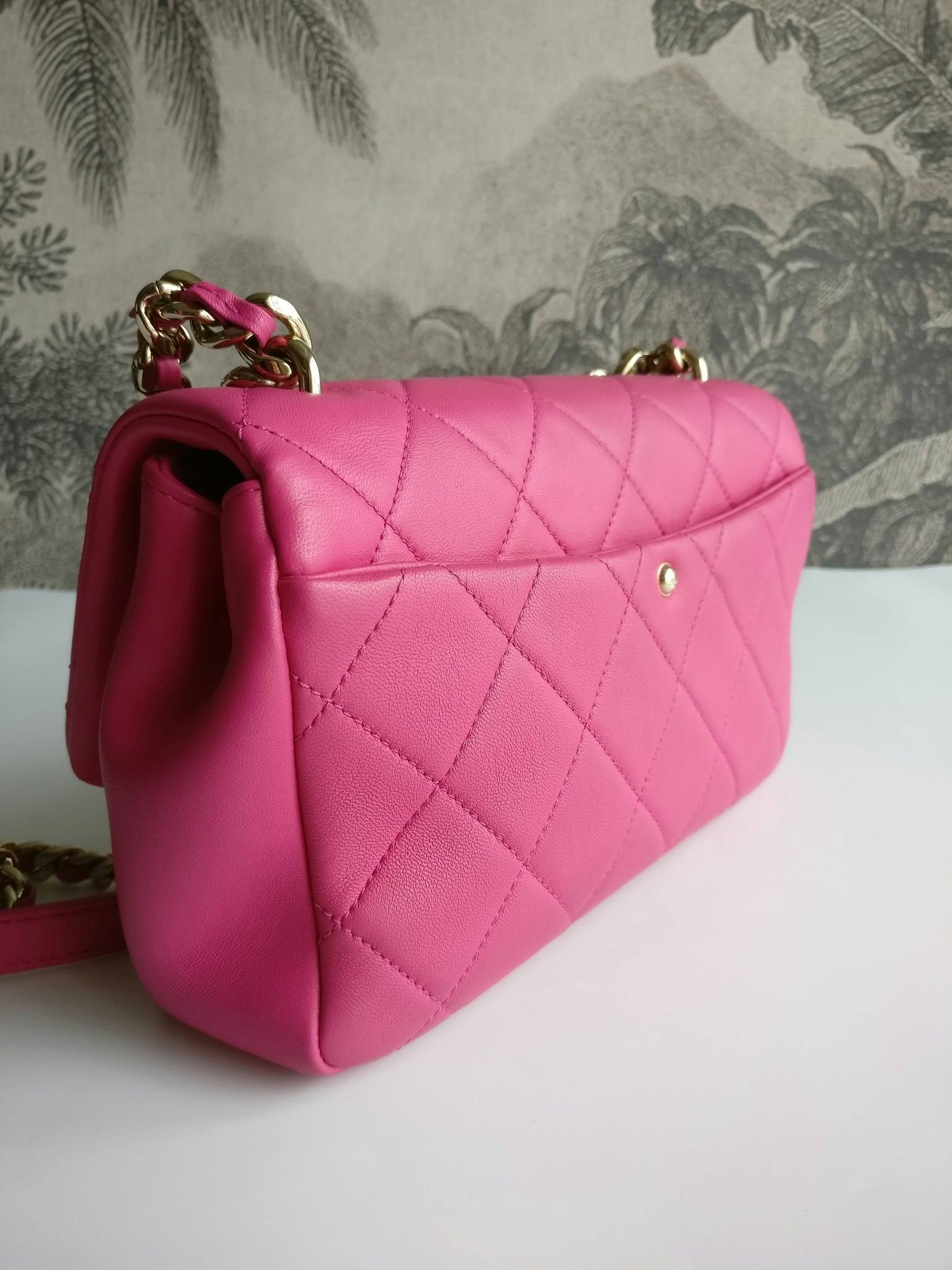 Chanel Elegant Chain Bag