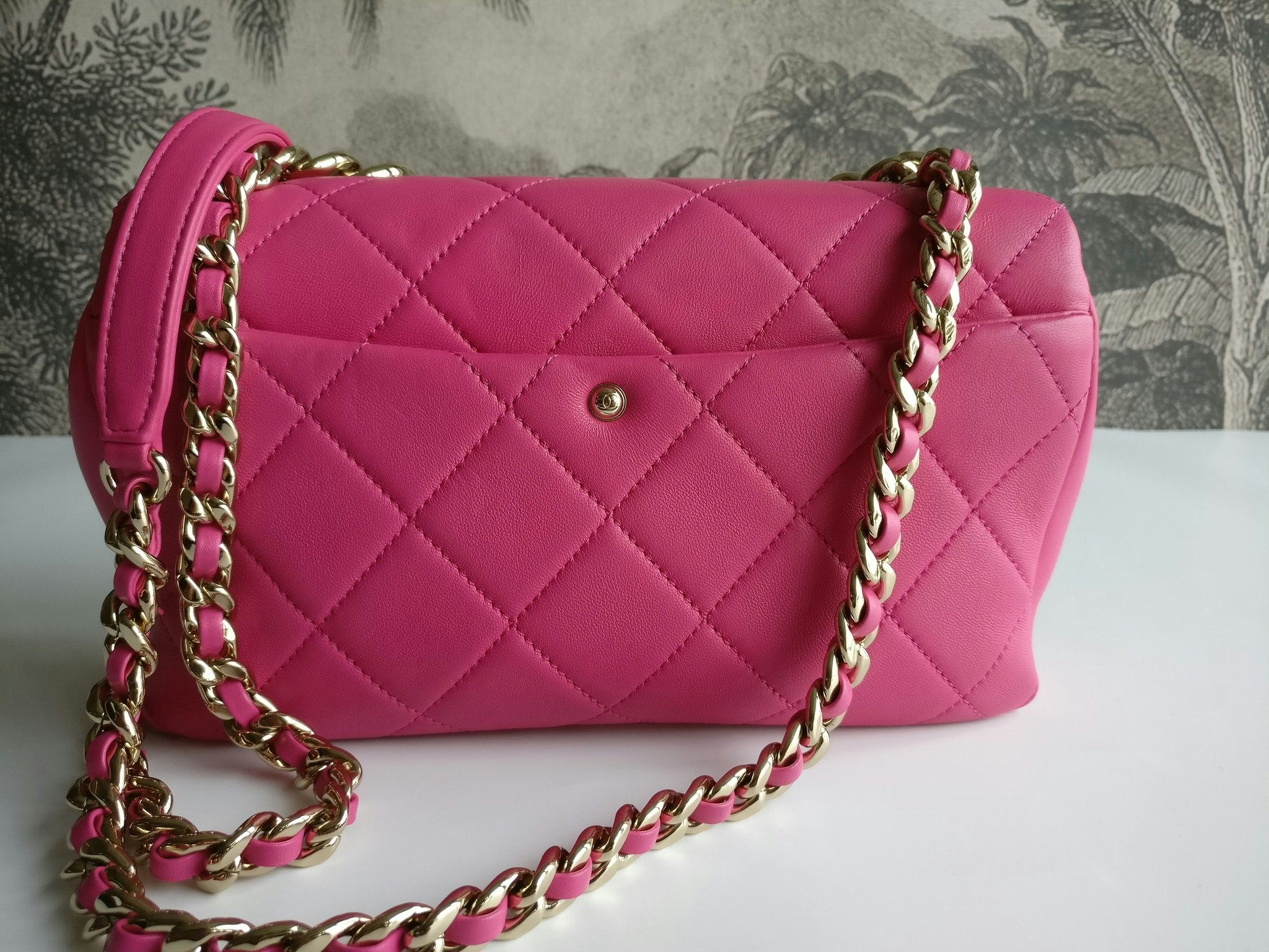 Chanel Elegant Chain Bag