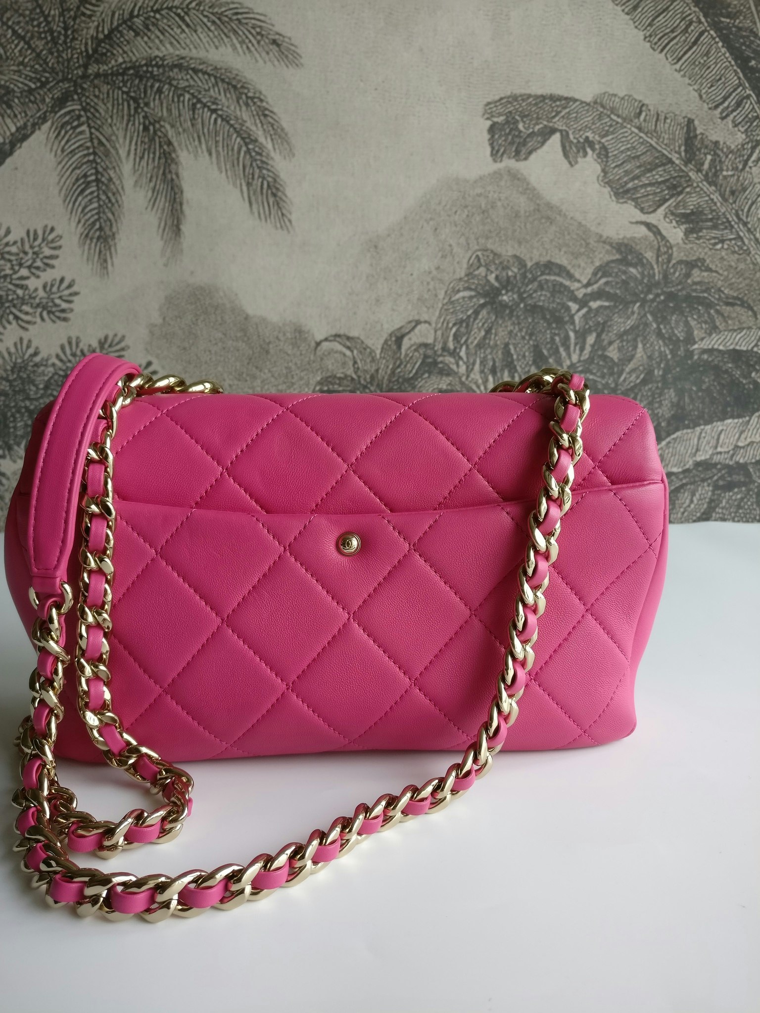 Chanel Elegant Chain Bag