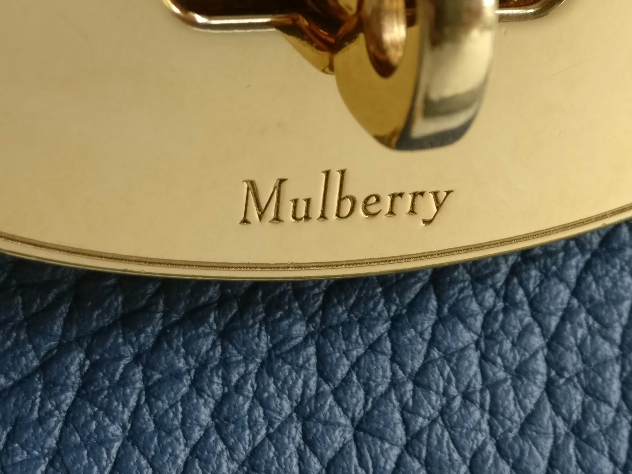 Mulberry Darley Large