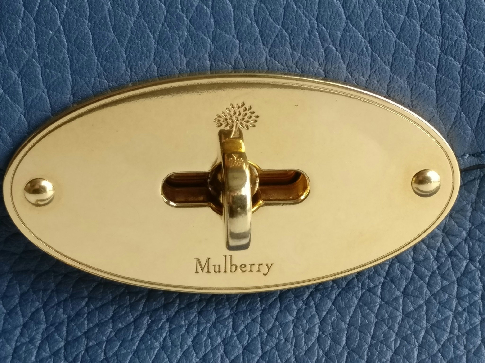 Mulberry Darley Large