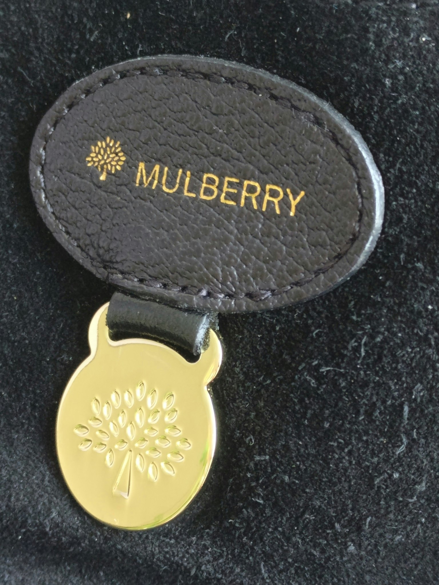 Mulberry Lily Small