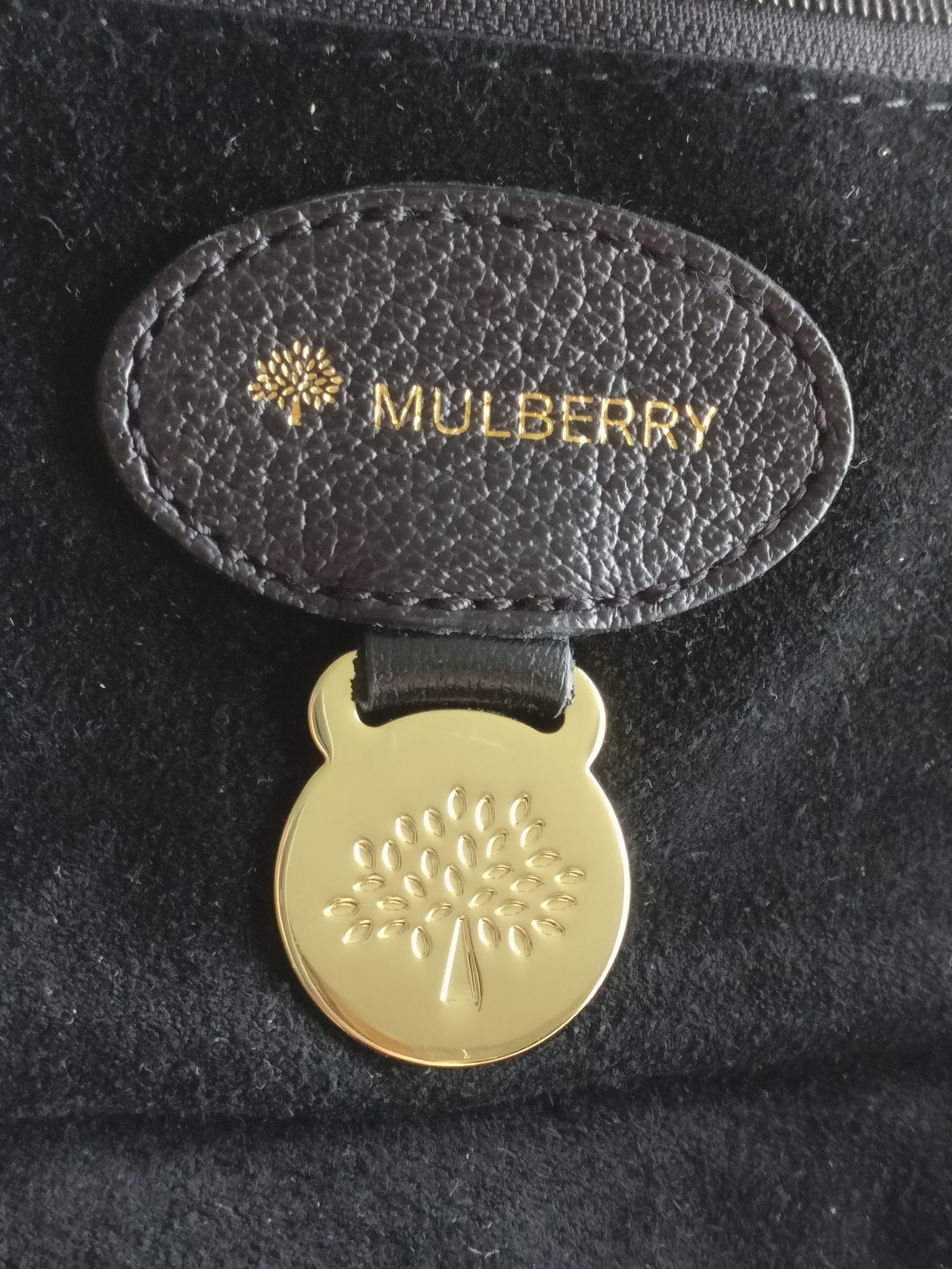 Mulberry Lily Small