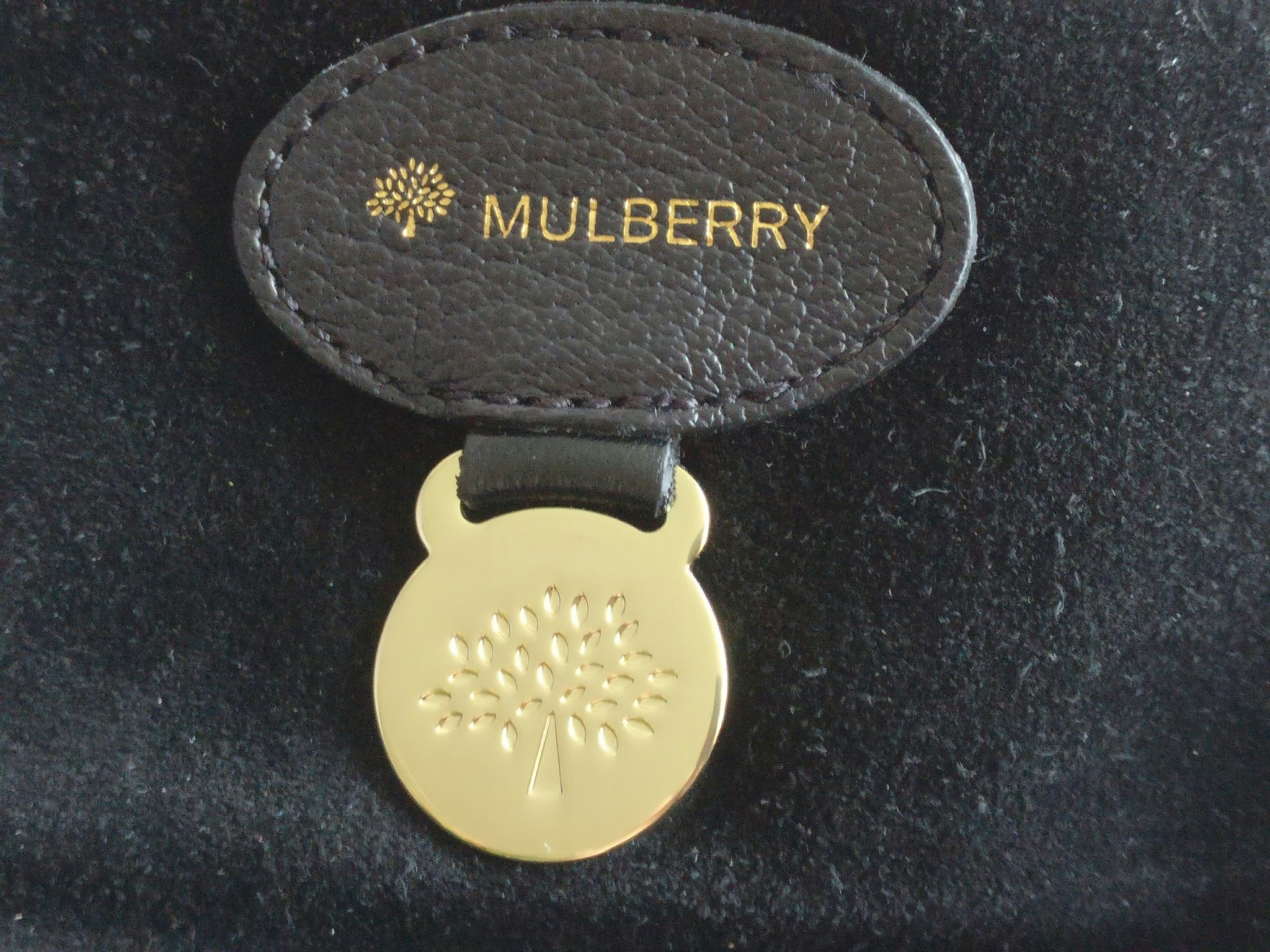 Mulberry Lily Small