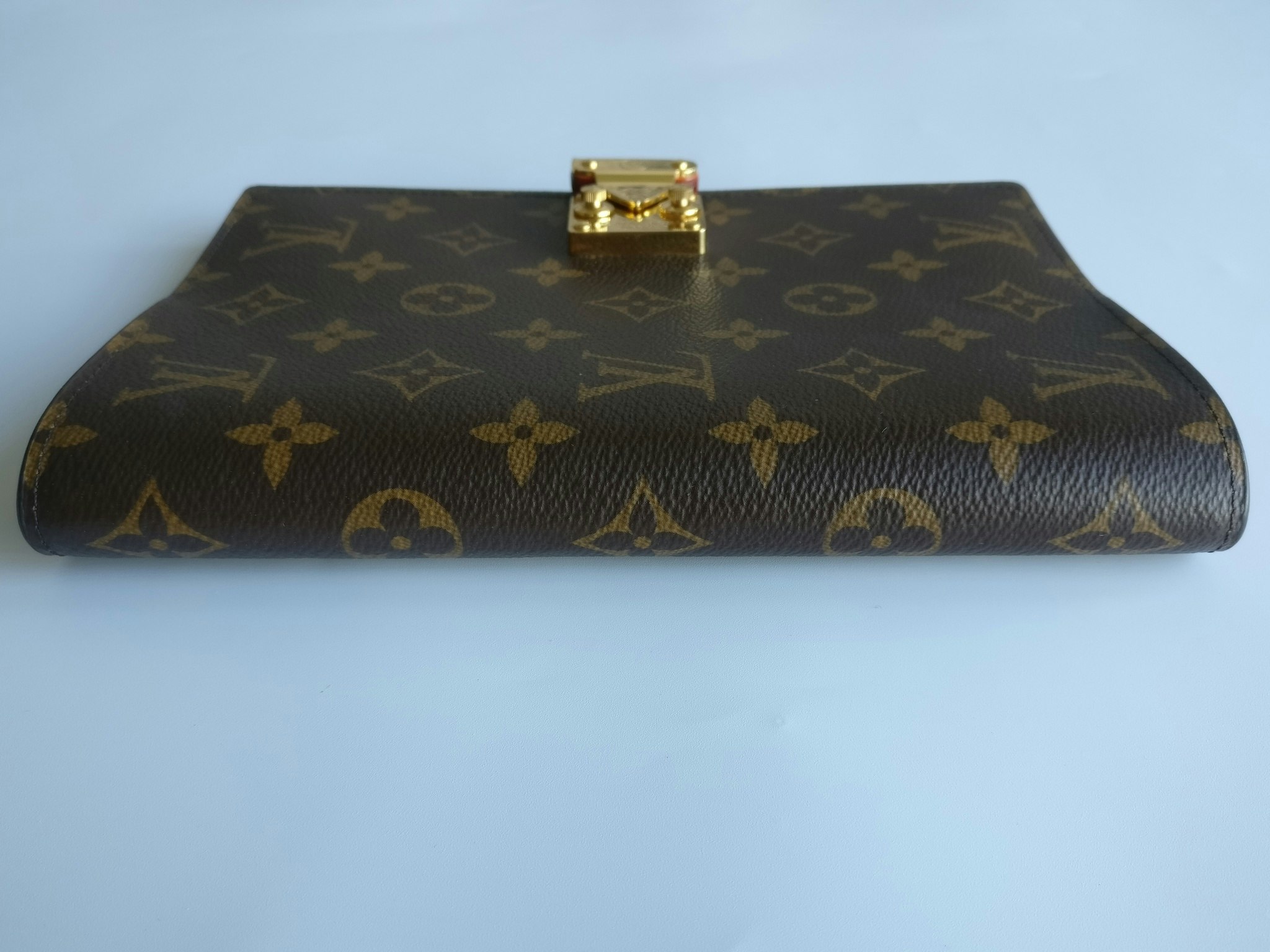 Louis Vuitton Paul MM Notebook cover