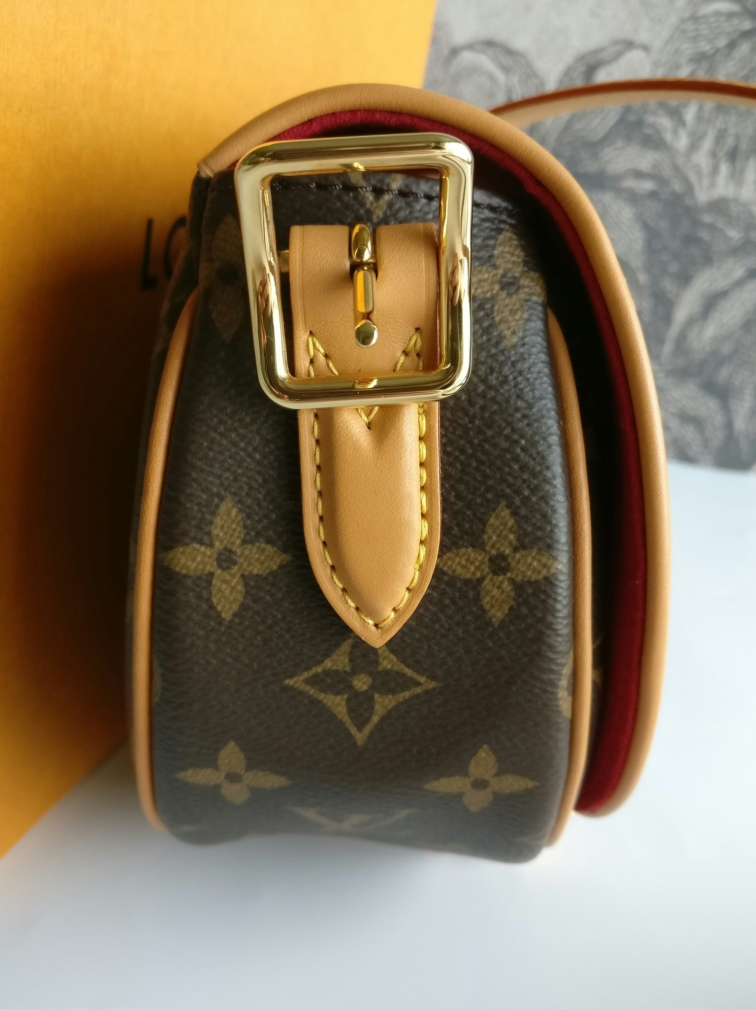 Louis Vuitton Tambourine Brown Cloth ref.1022553 - Joli Closet