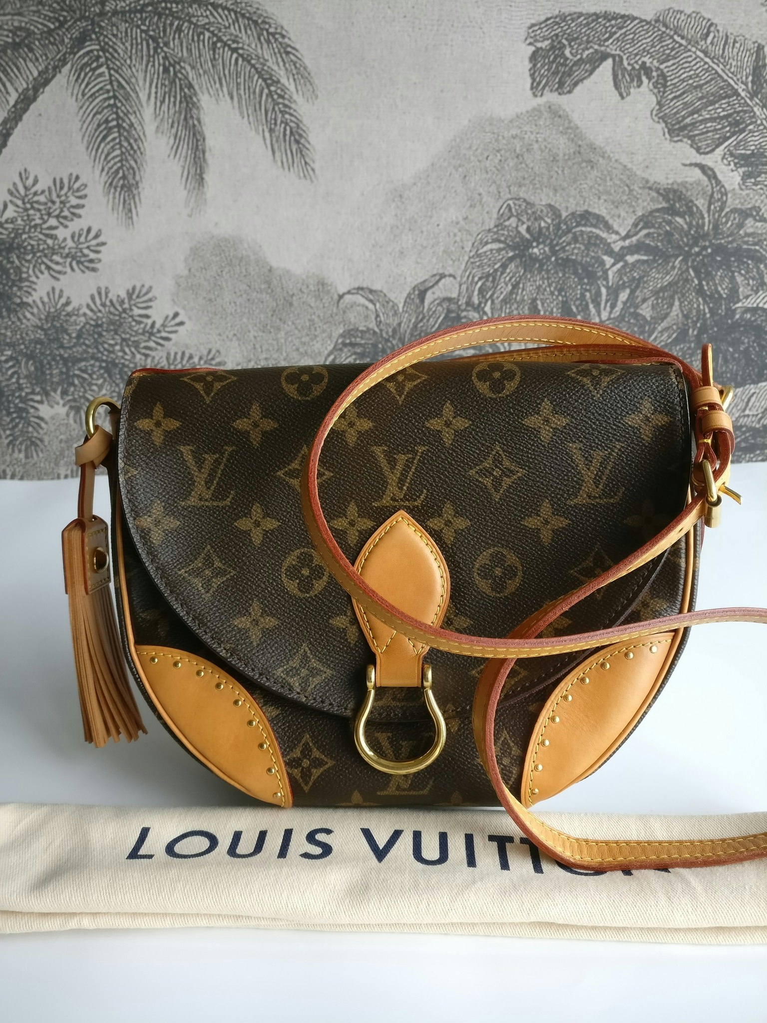 Louis Vuitton Saint Cloud new model - Good or Bag