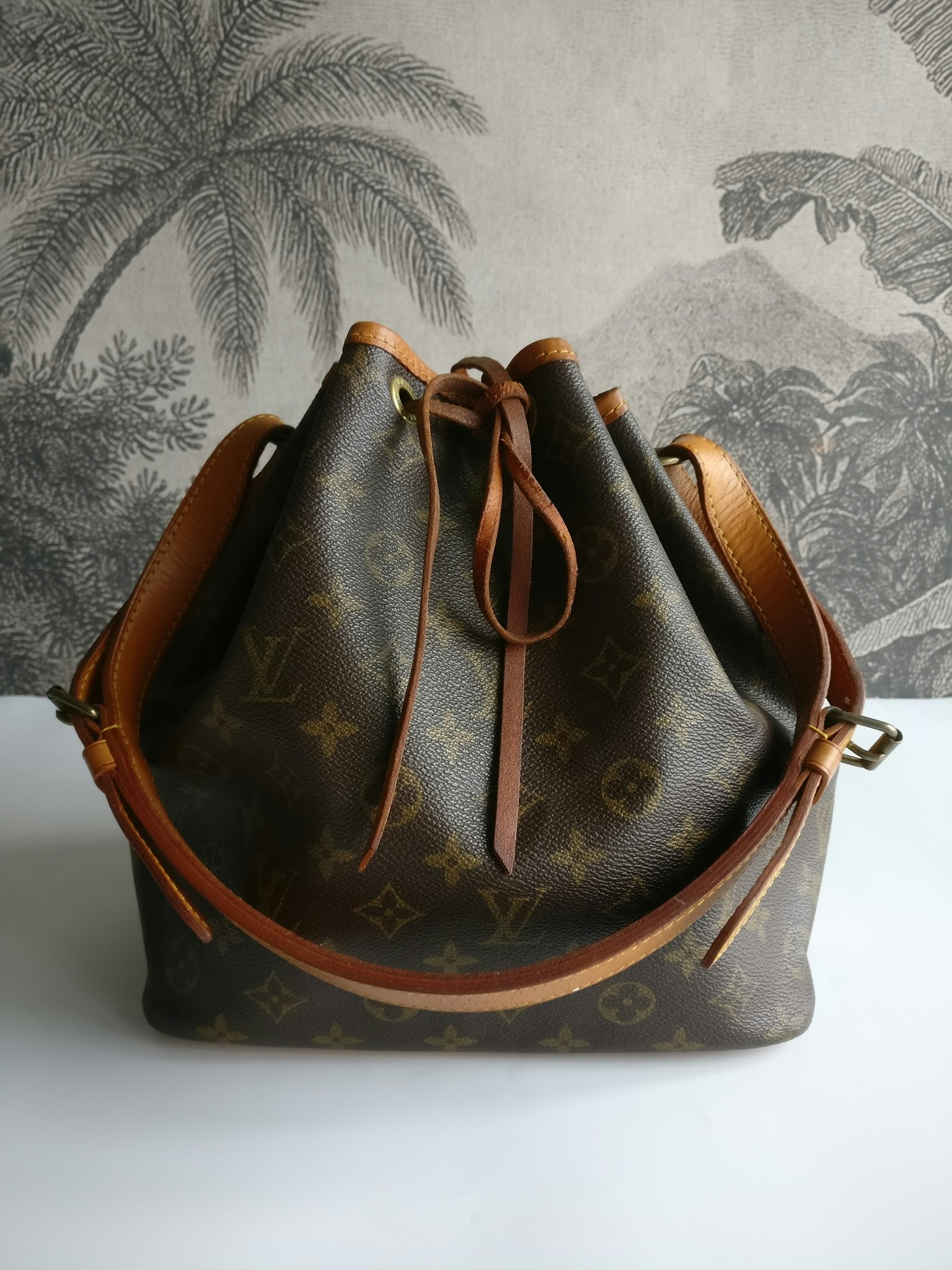 Louis Vuitton Monogram Petit Noe Brown Leather Cloth ref.100972 - Joli  Closet