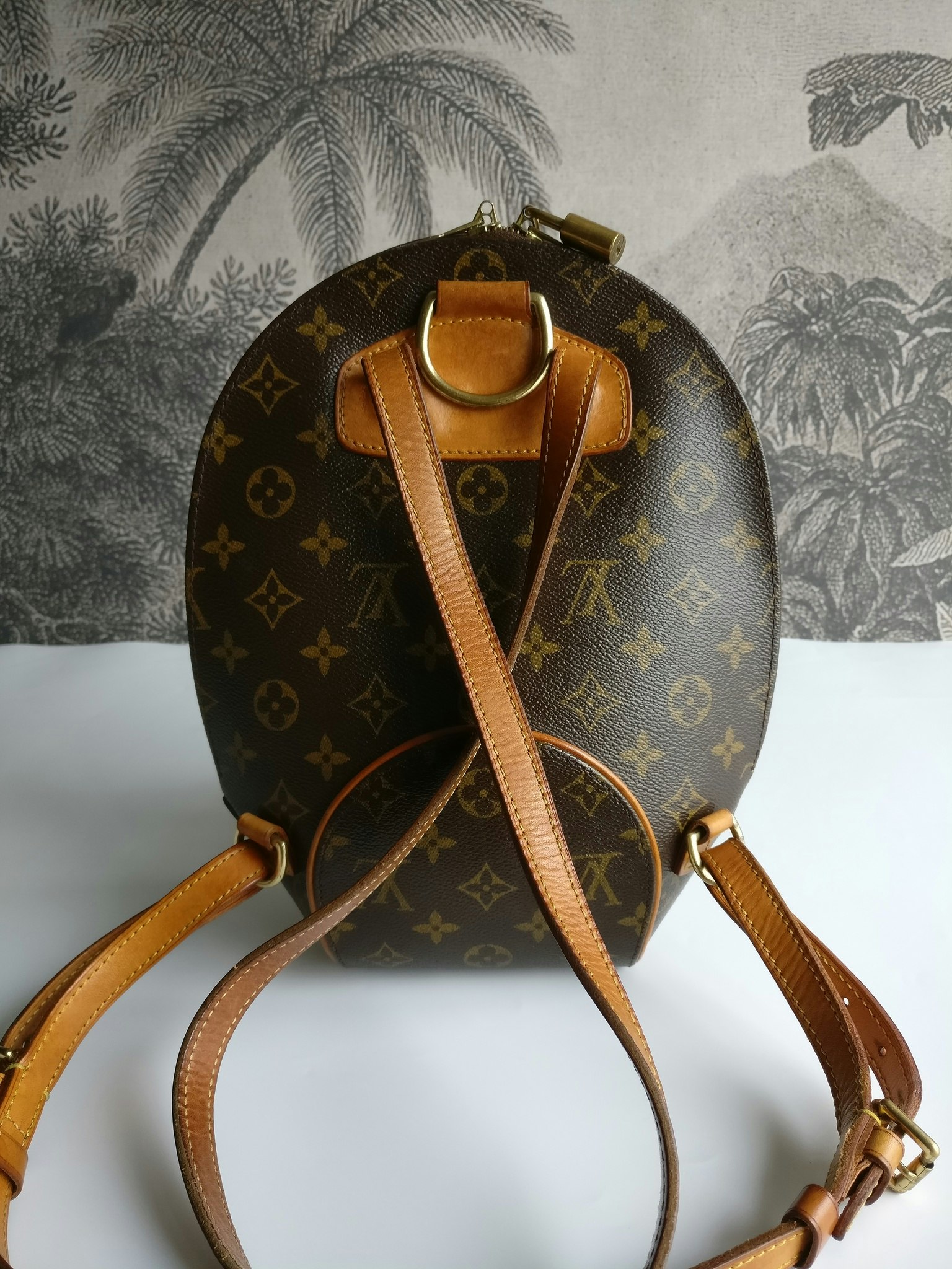 Louis Vuitton ELLIPSE BACKPACK LOUIS VOUITTON Red Leather ref.114490 - Joli  Closet