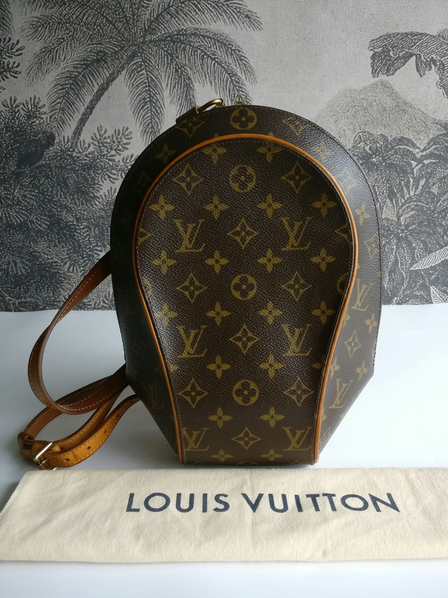 Louis Vuitton Ellipse backpack Brown Cloth ref.146812 - Joli Closet