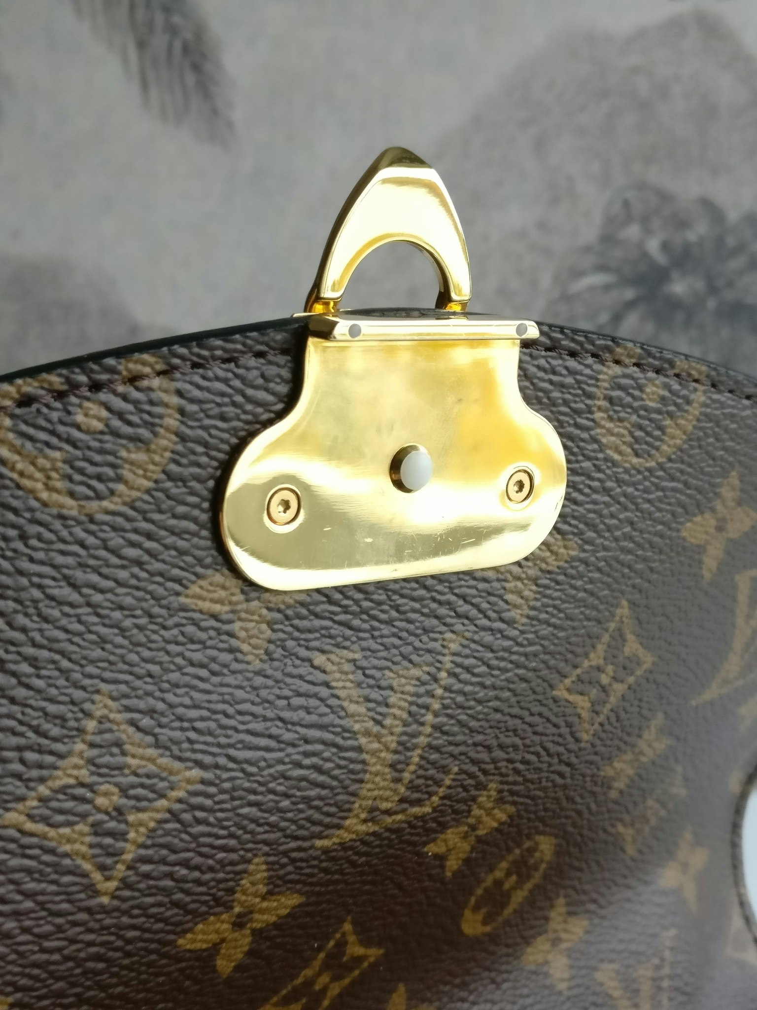 LOUIS VUITTON Monogram Saint Placide Caramel 725171