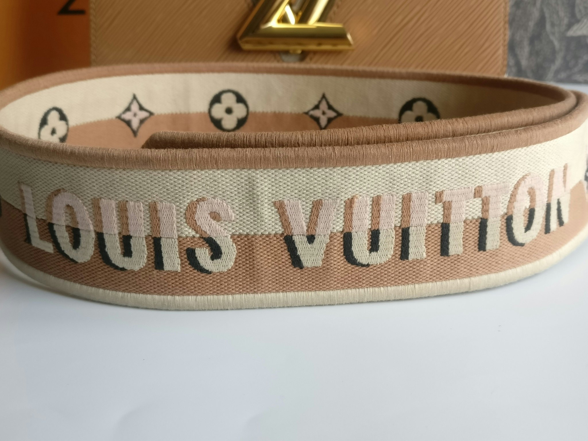 Louis Vuitton Twist MM