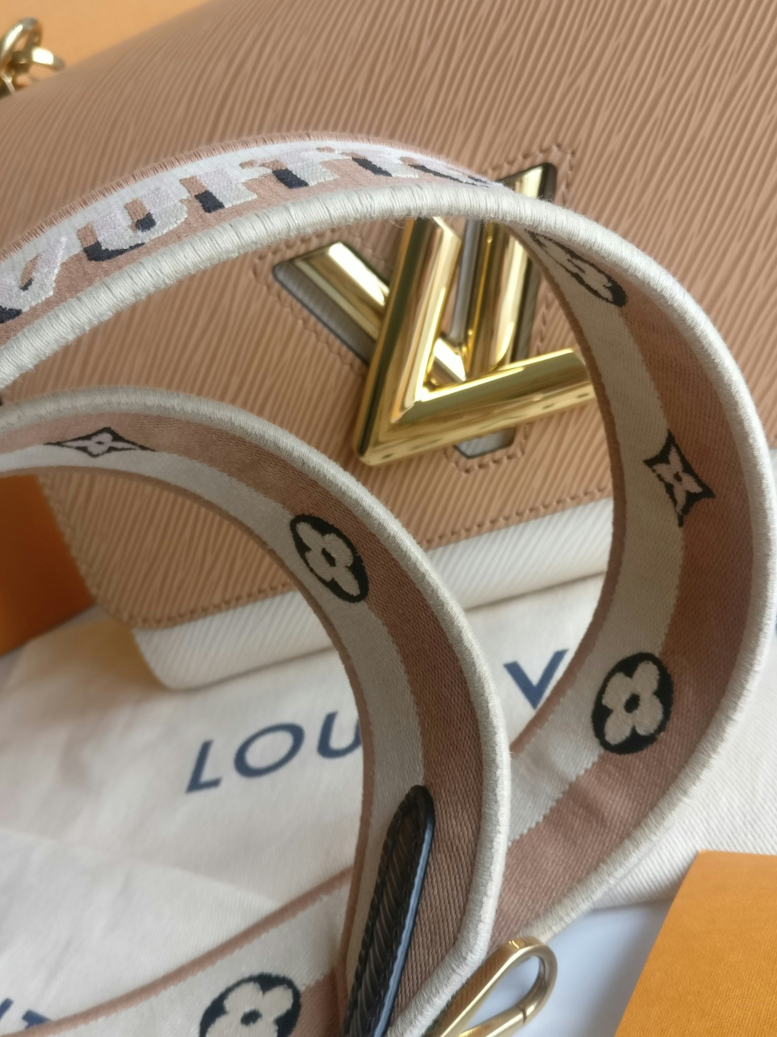 Louis Vuitton Twist MM