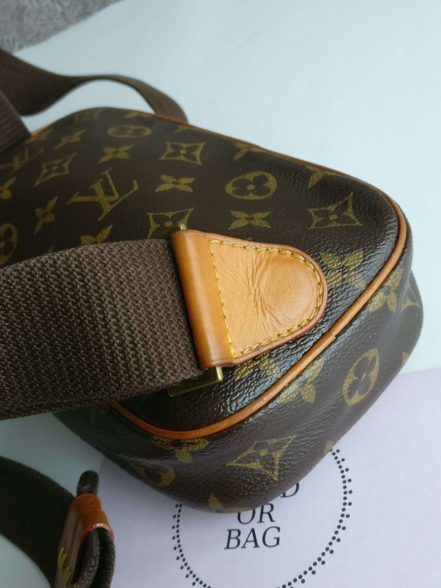 Louis Vuitton Pochette Gange bumbag/belt bag