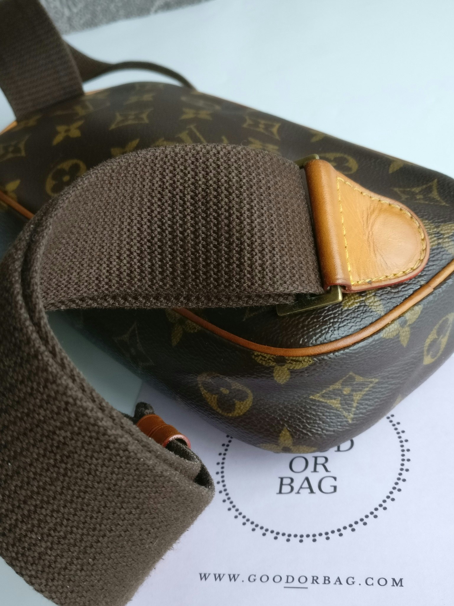 Louis Vuitton Pochette Gange bumbag/belt bag