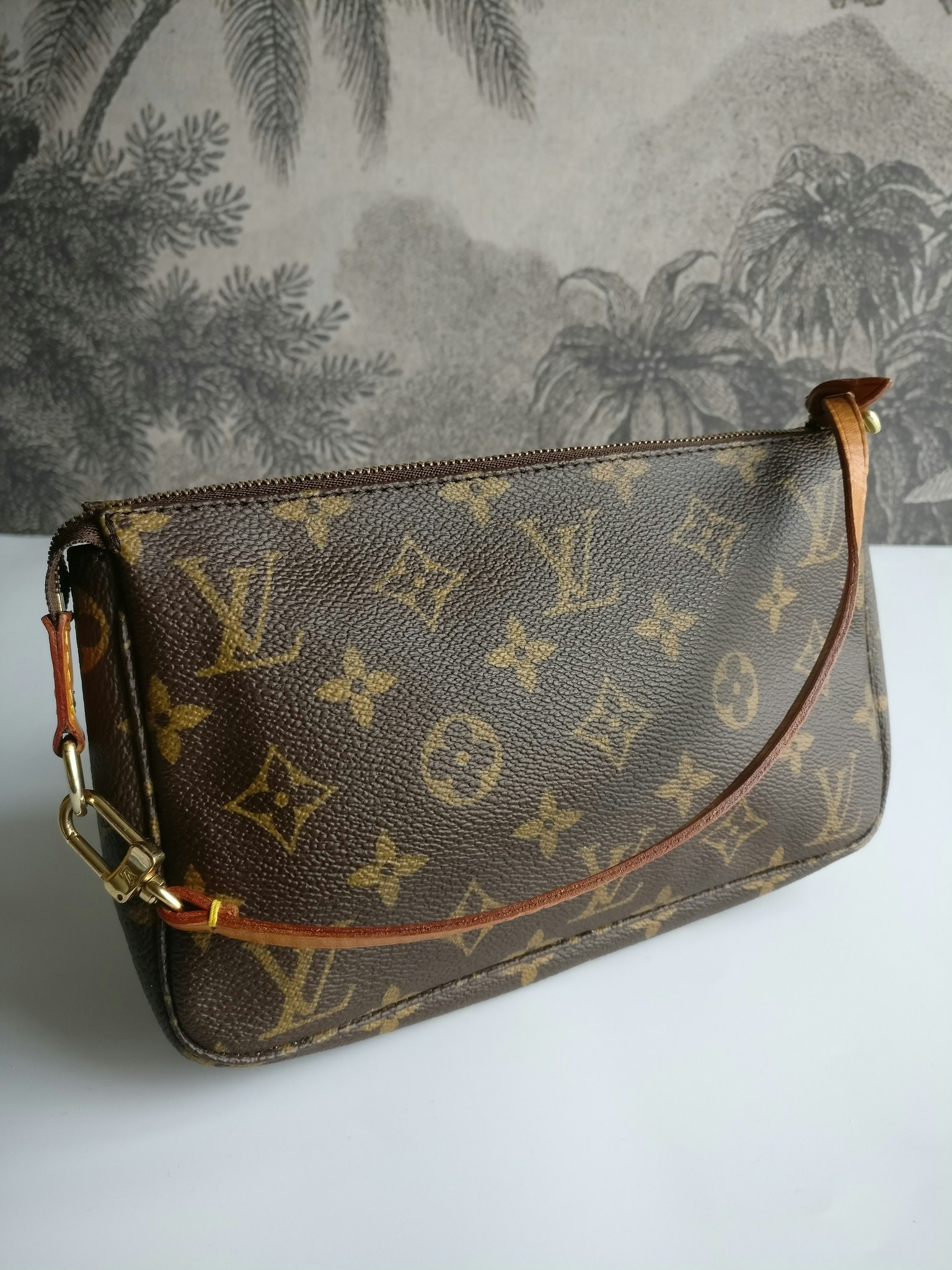 Louis Vuitton Pochette Accessoires