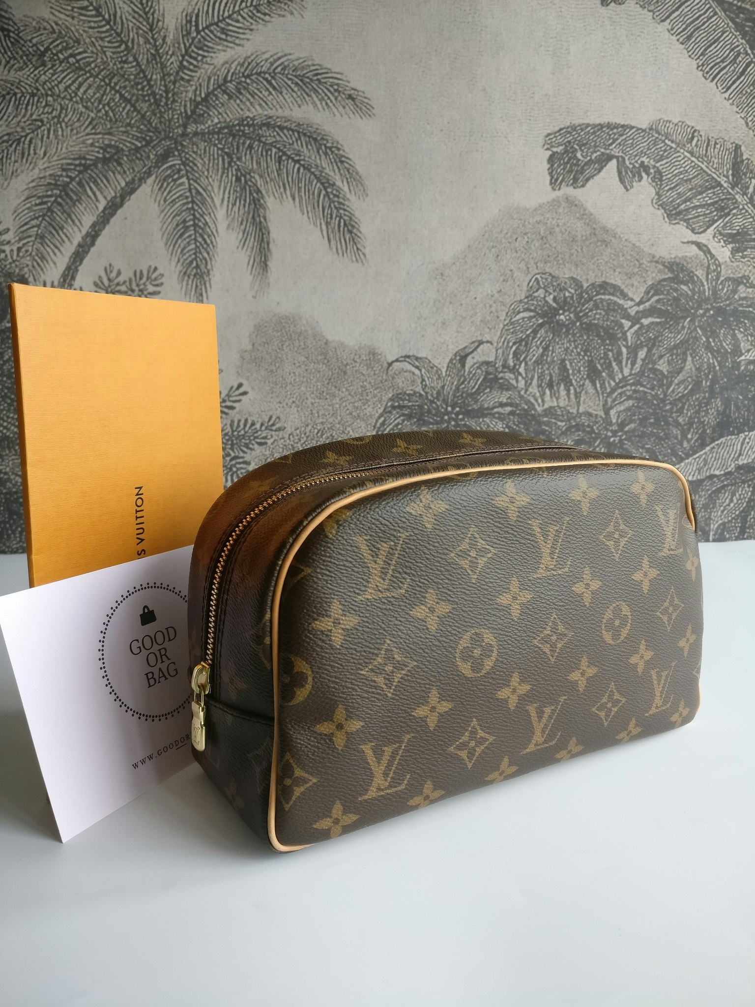 Louis Vuitton Toiletry Bag 25