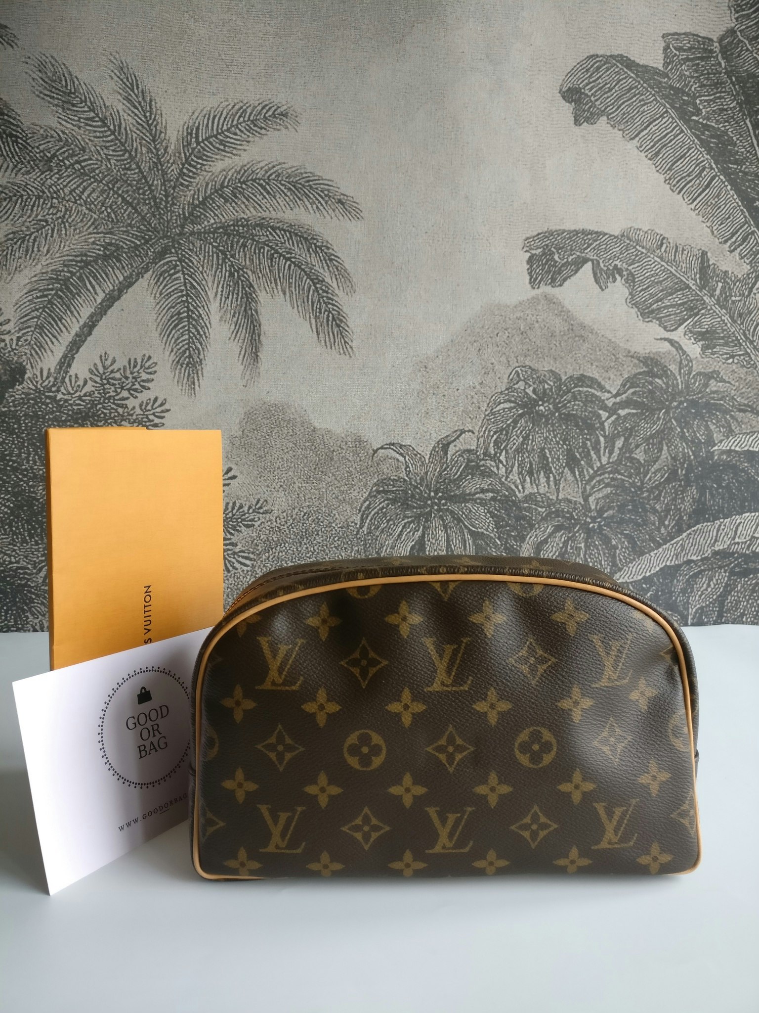 Louis Vuitton Toiletry Bag 25