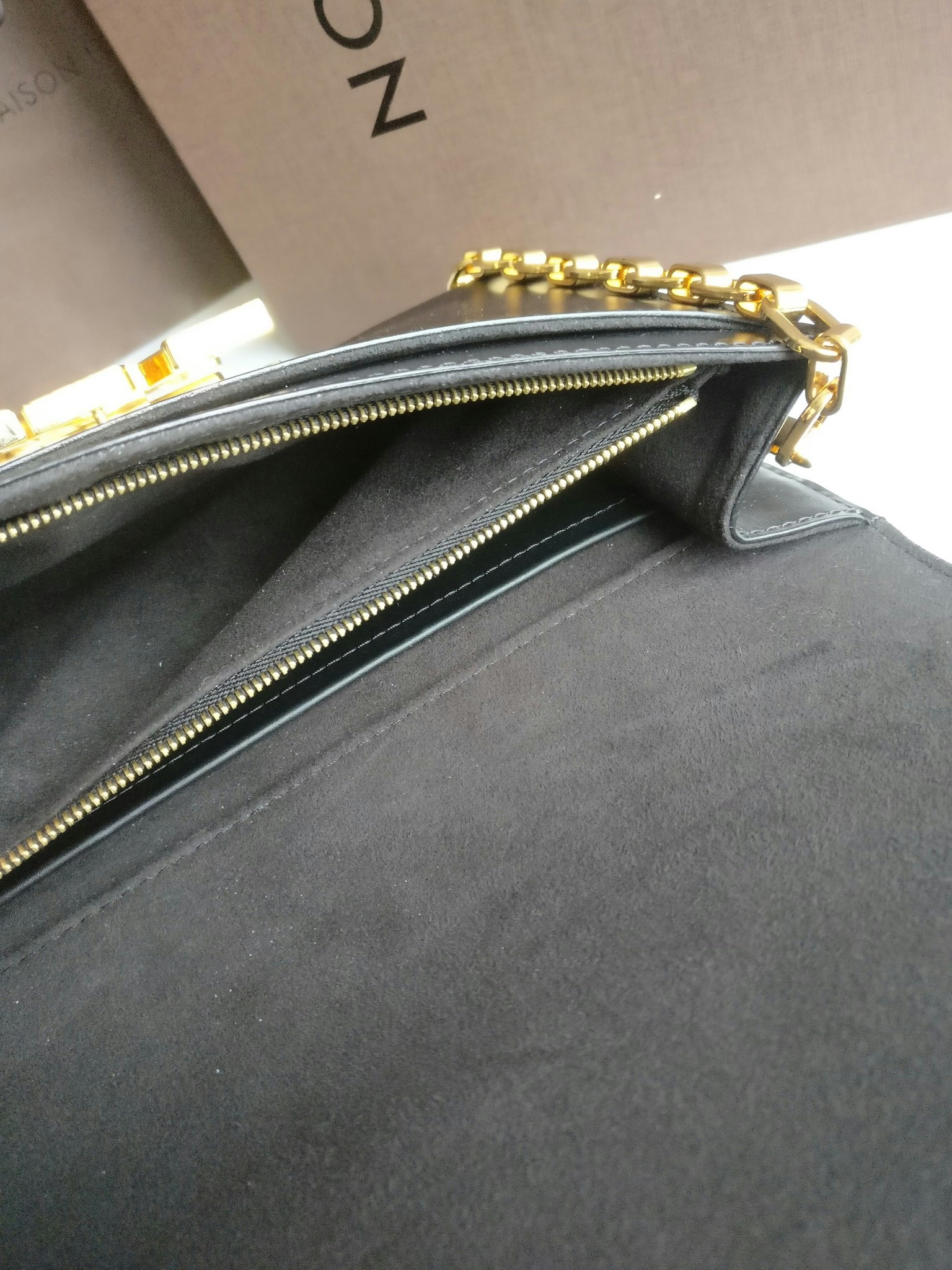 Louis Vuitton Pochette Louise GM Chain Bag Python Clasp