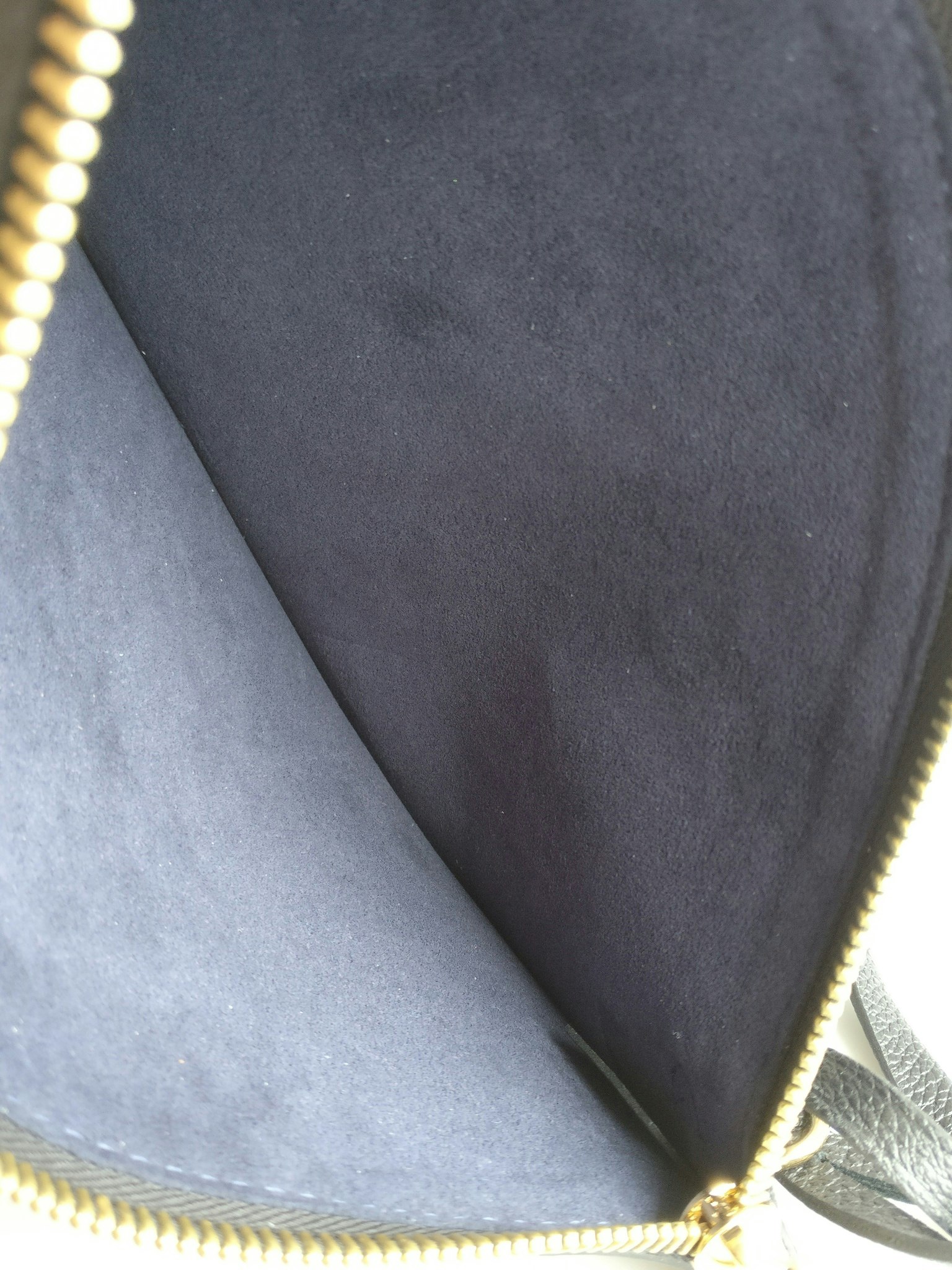 Louis Vuitton Neverfull empreinte clutch