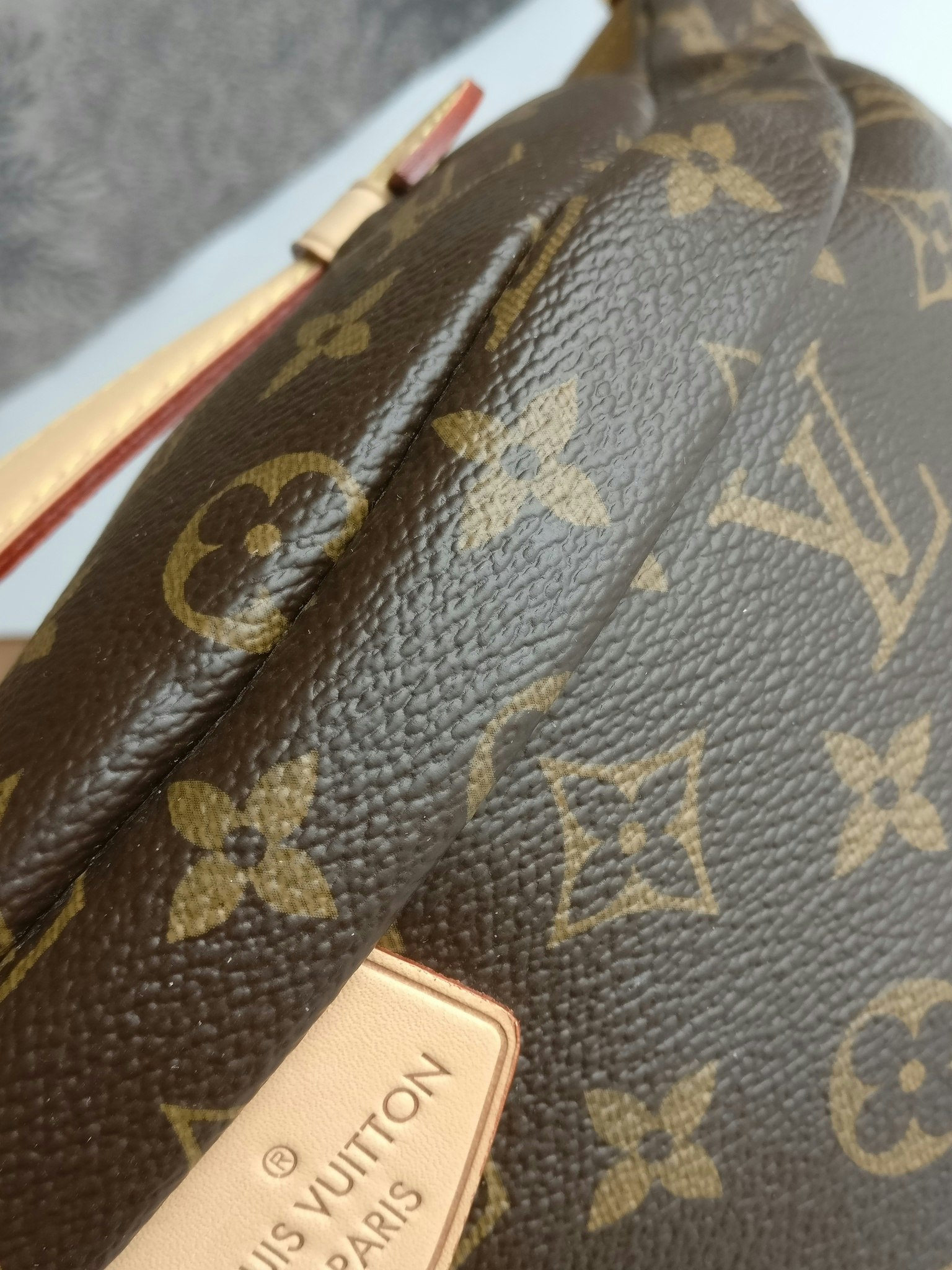Louis Vuitton Bumbag