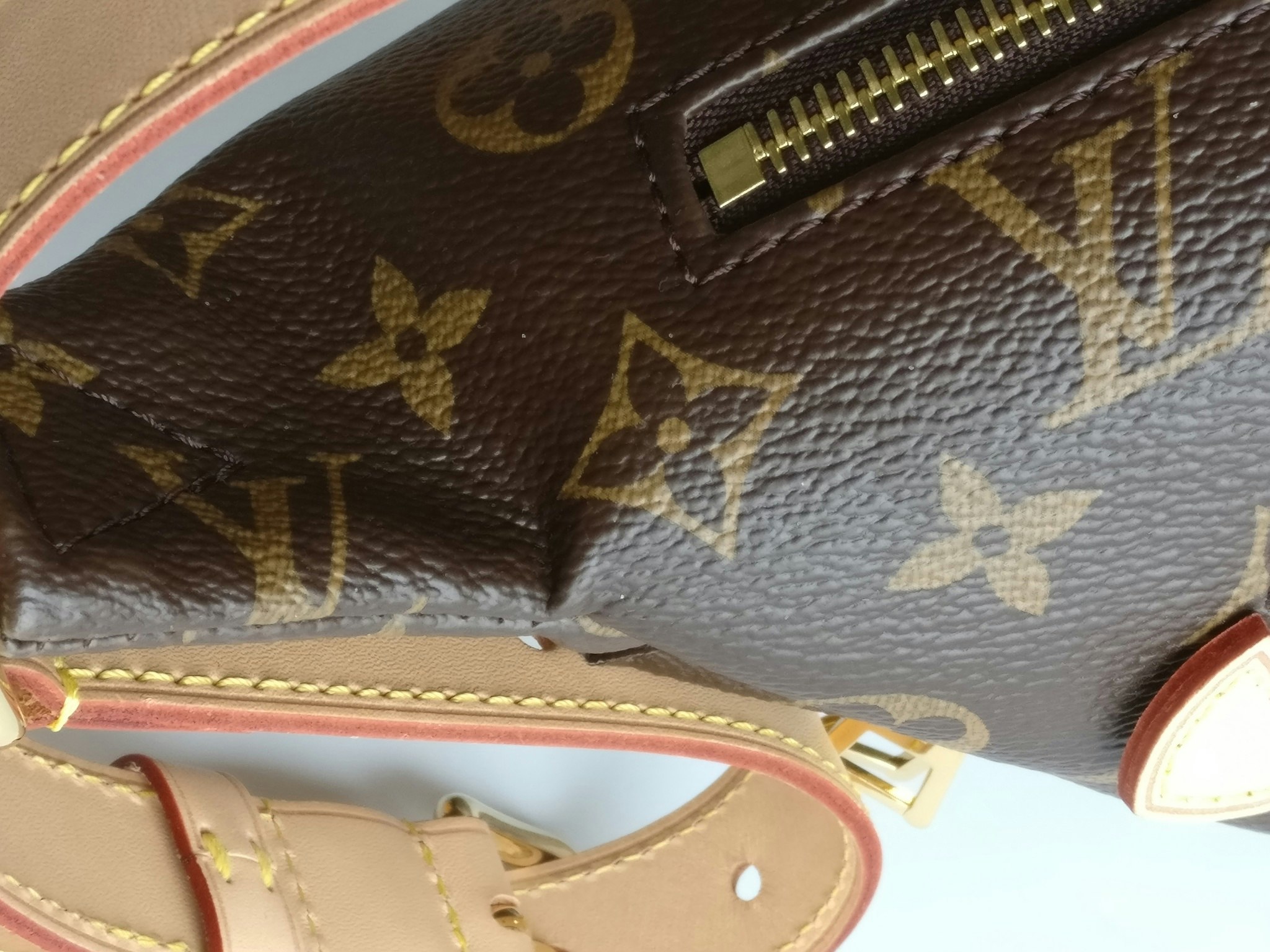 Louis Vuitton Bumbag
