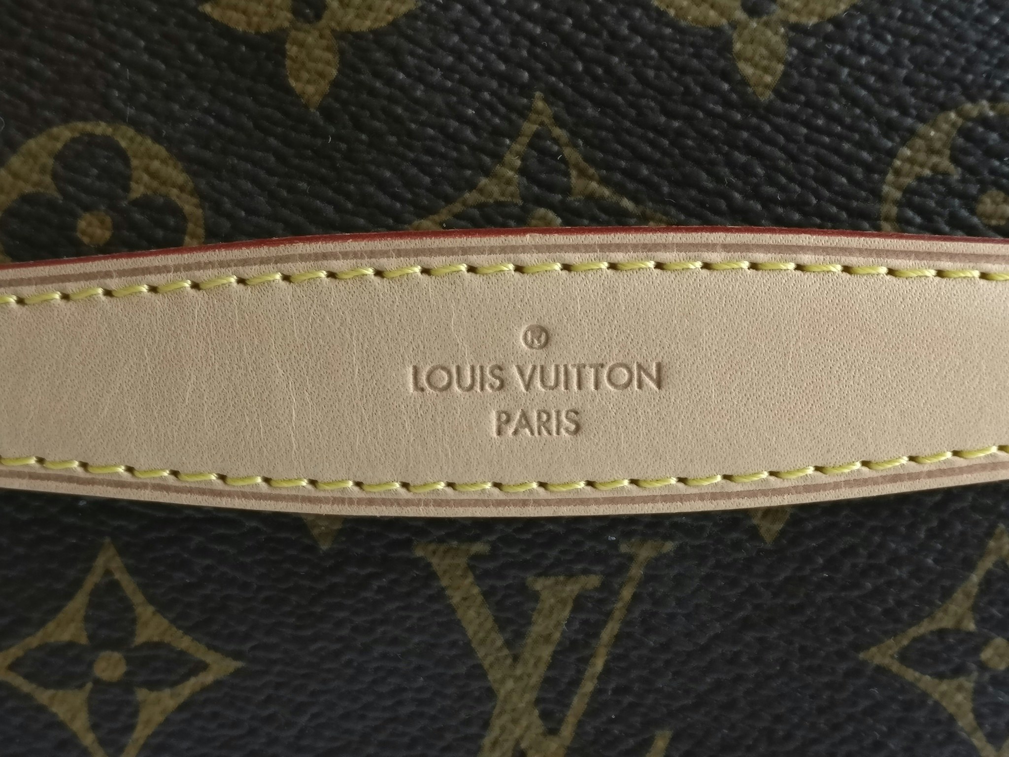 Louis Vuitton Bumbag