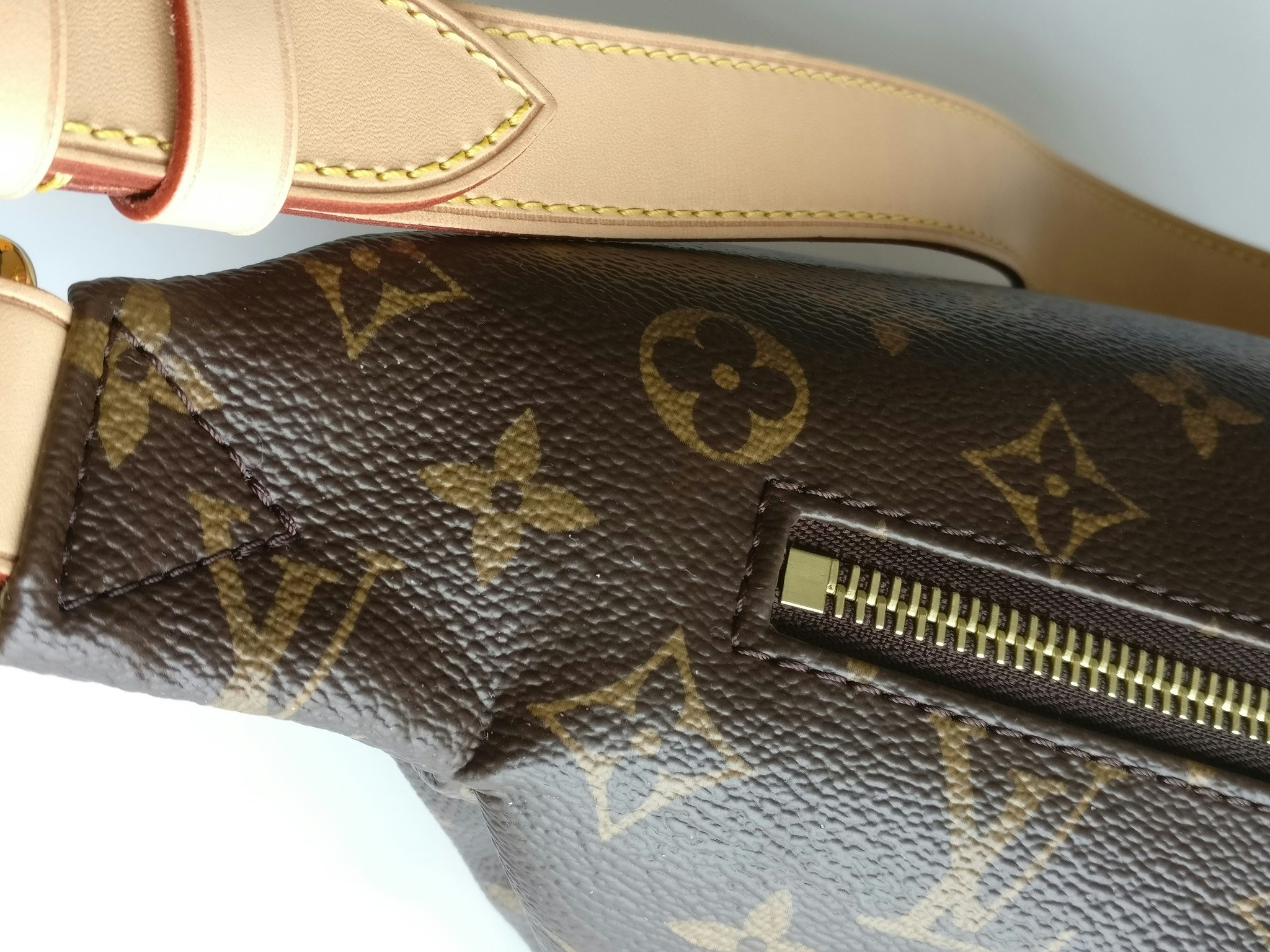 Louis Vuitton Bumbag
