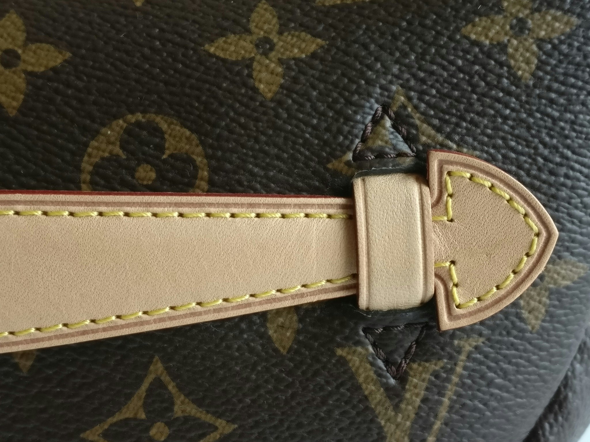 Louis Vuitton Bumbag