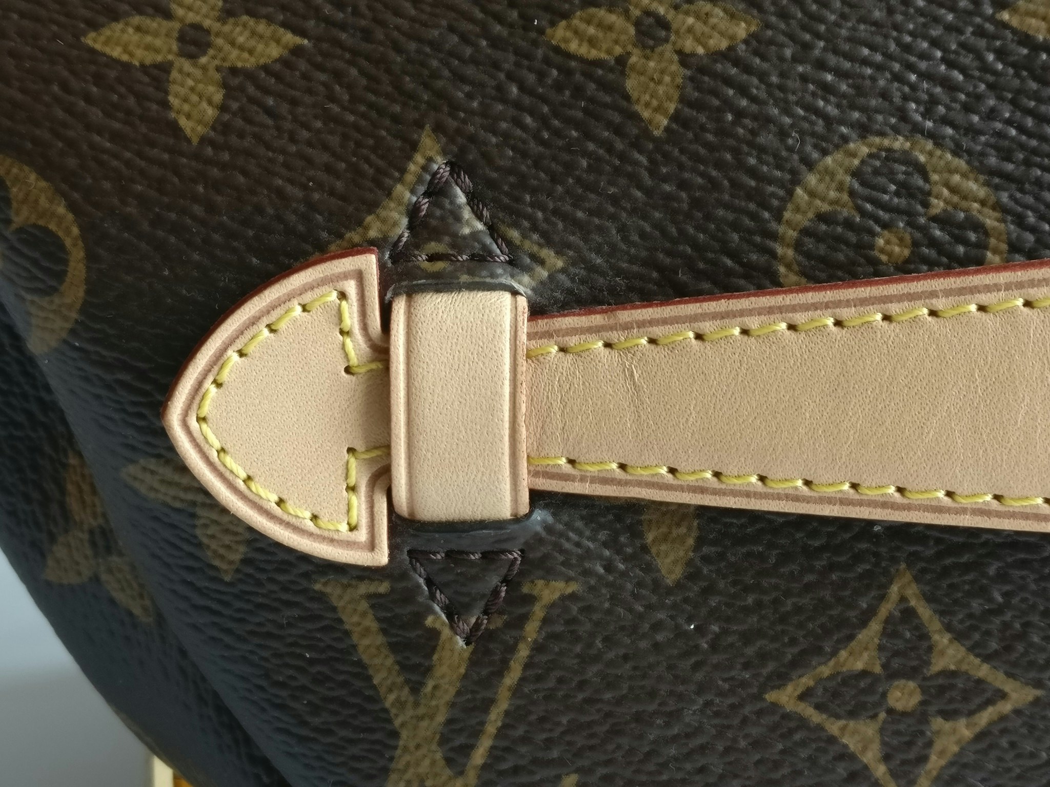 Louis Vuitton Bumbag