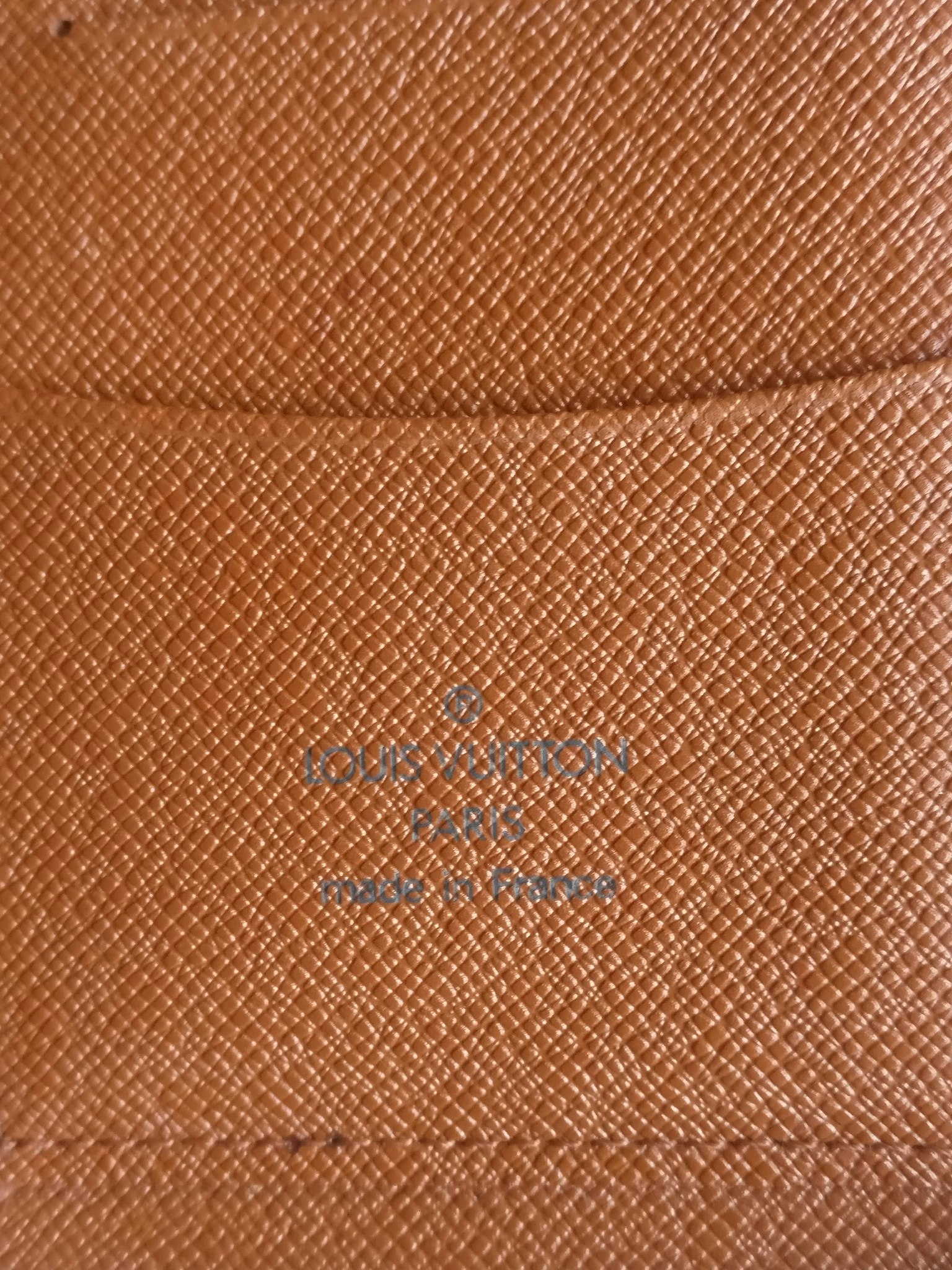 Louis Vuitton Geode Travel Case Organizer