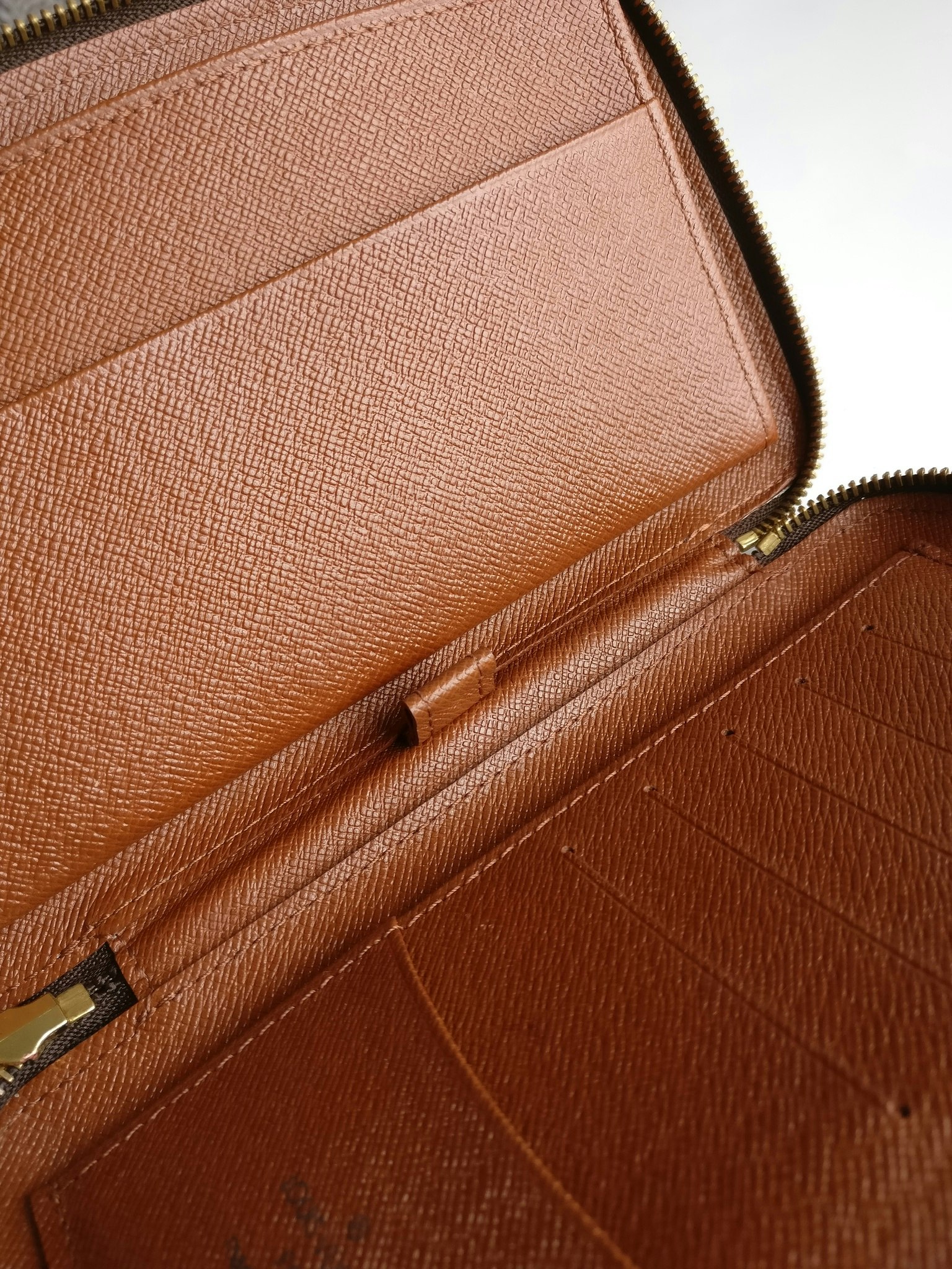 Louis Vuitton Geode Travel Case Organizer