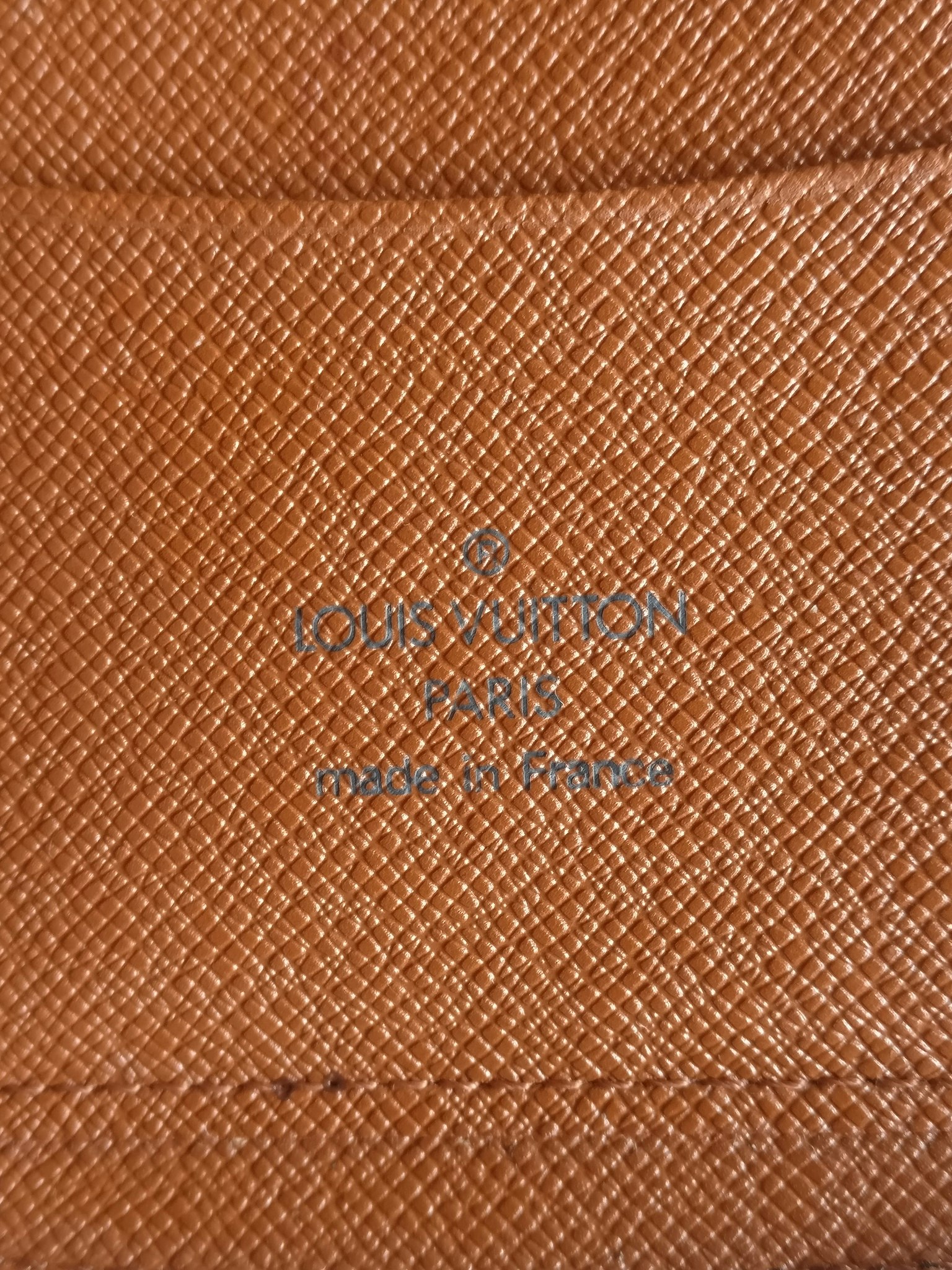 Louis Vuitton Geode Travel Case Organizer