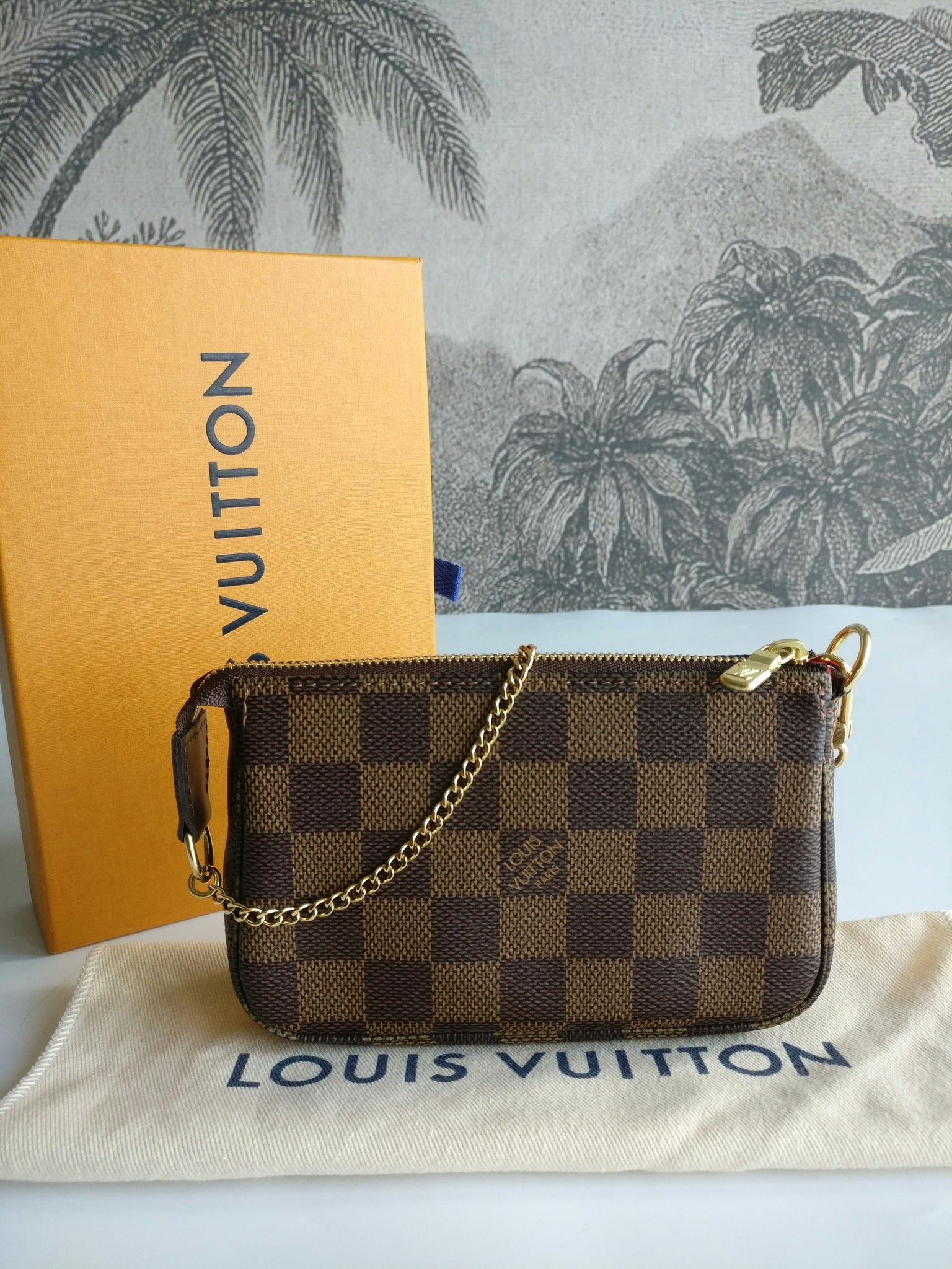 Louis Vuitton Mini Pochette Accessoires