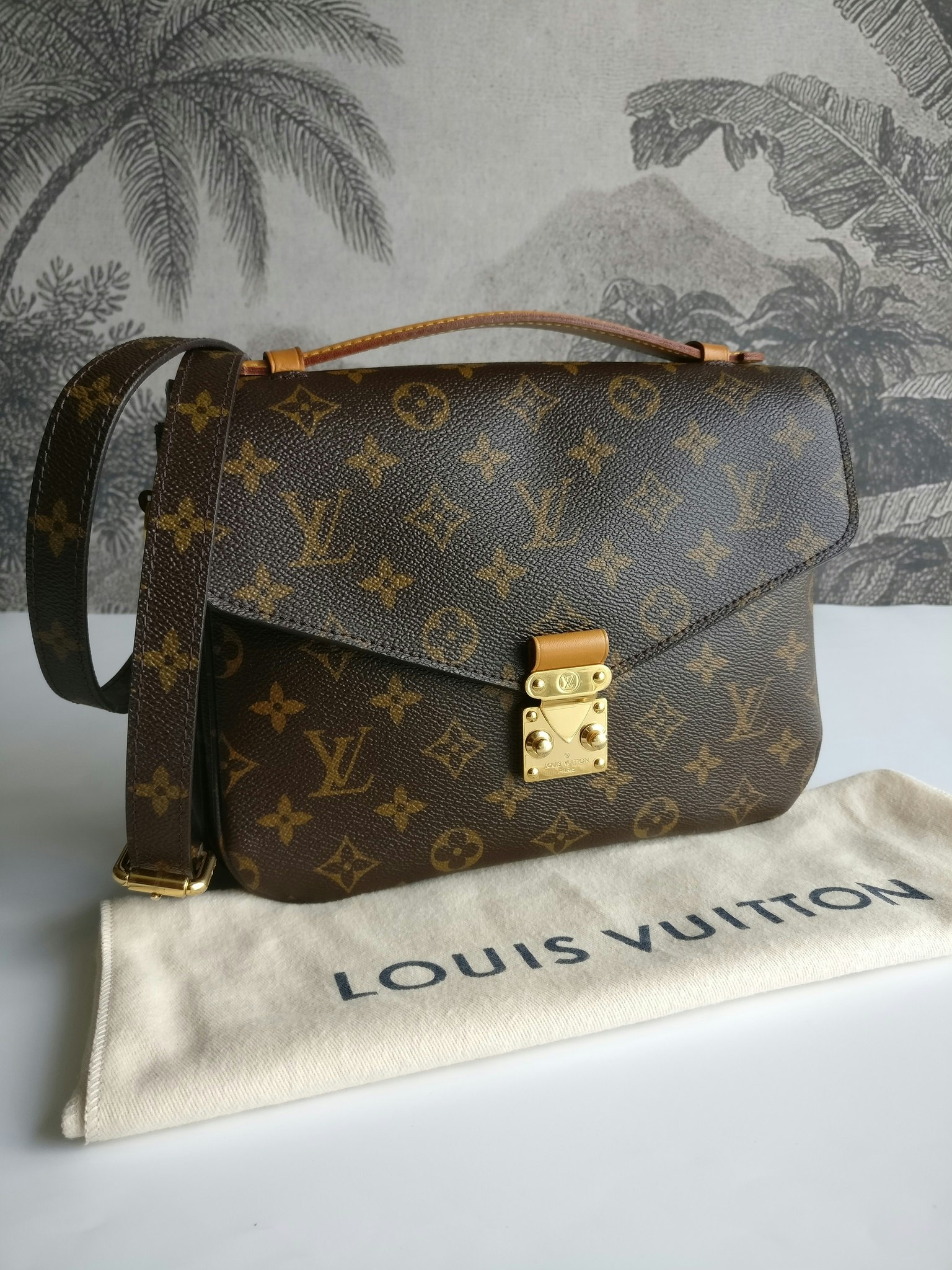 Louis Vuitton Pochette Metis