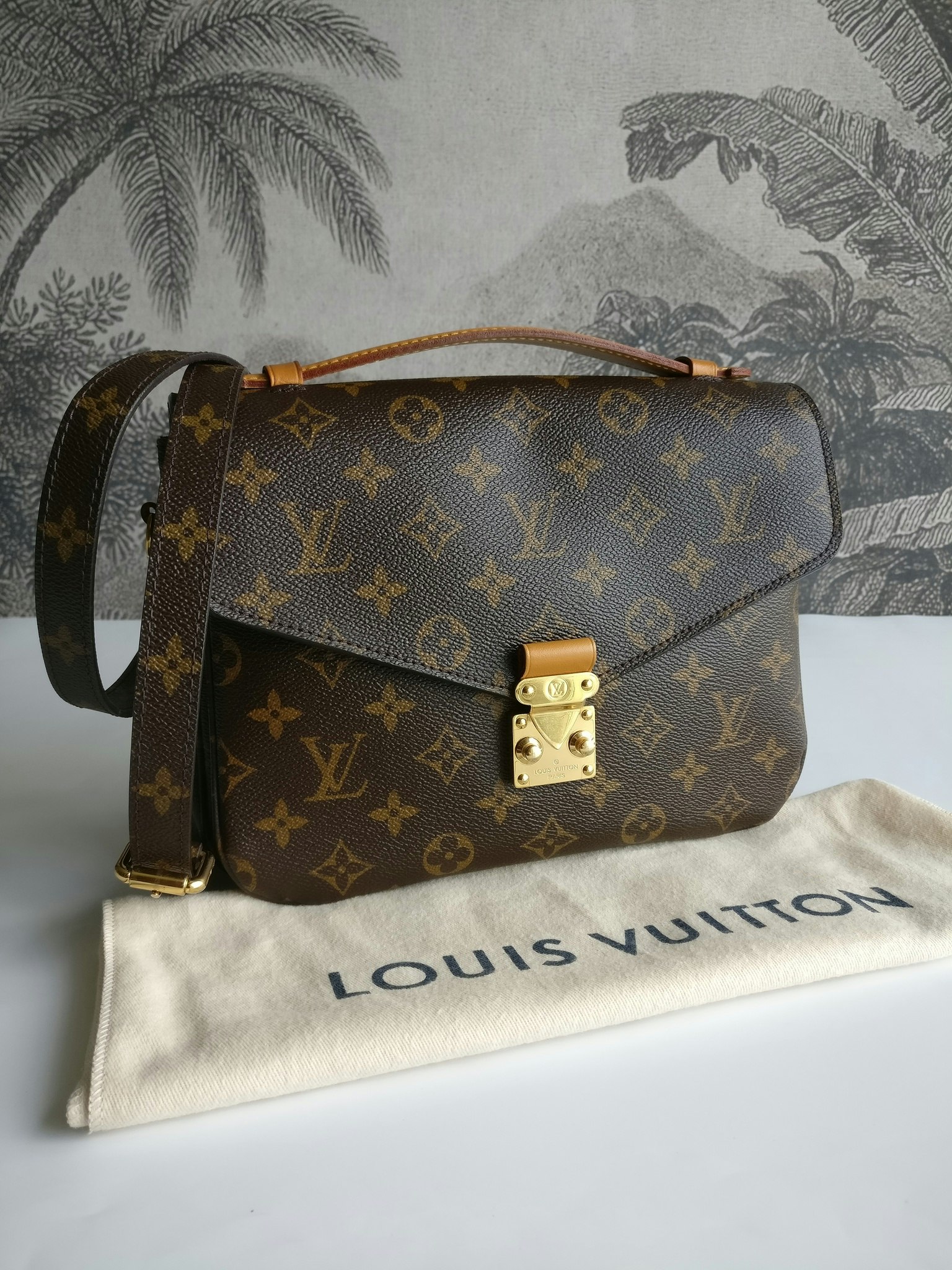Louis Vuitton Pochette Metis