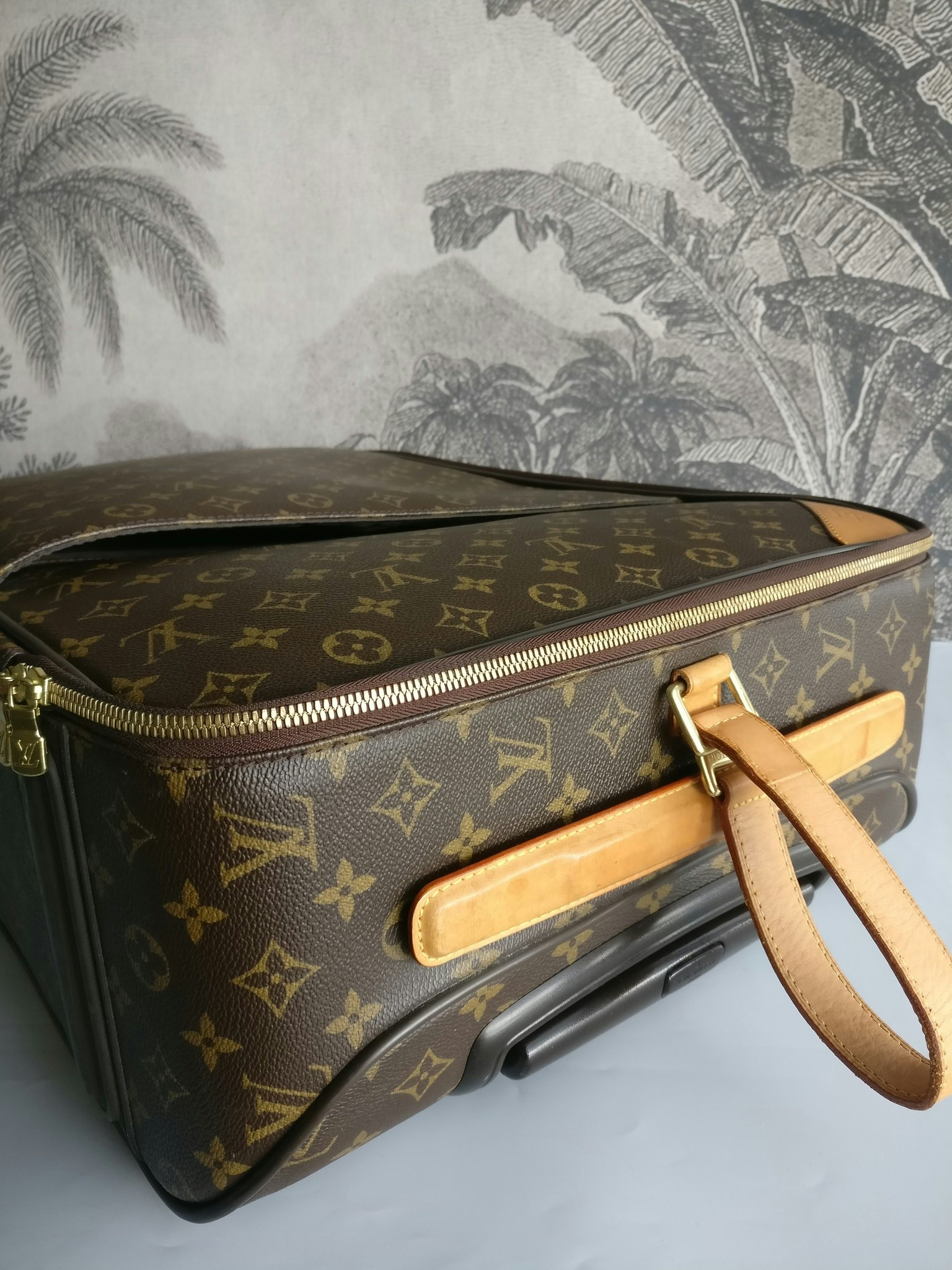 Louis Vuitton Pegase 55 with bag cover