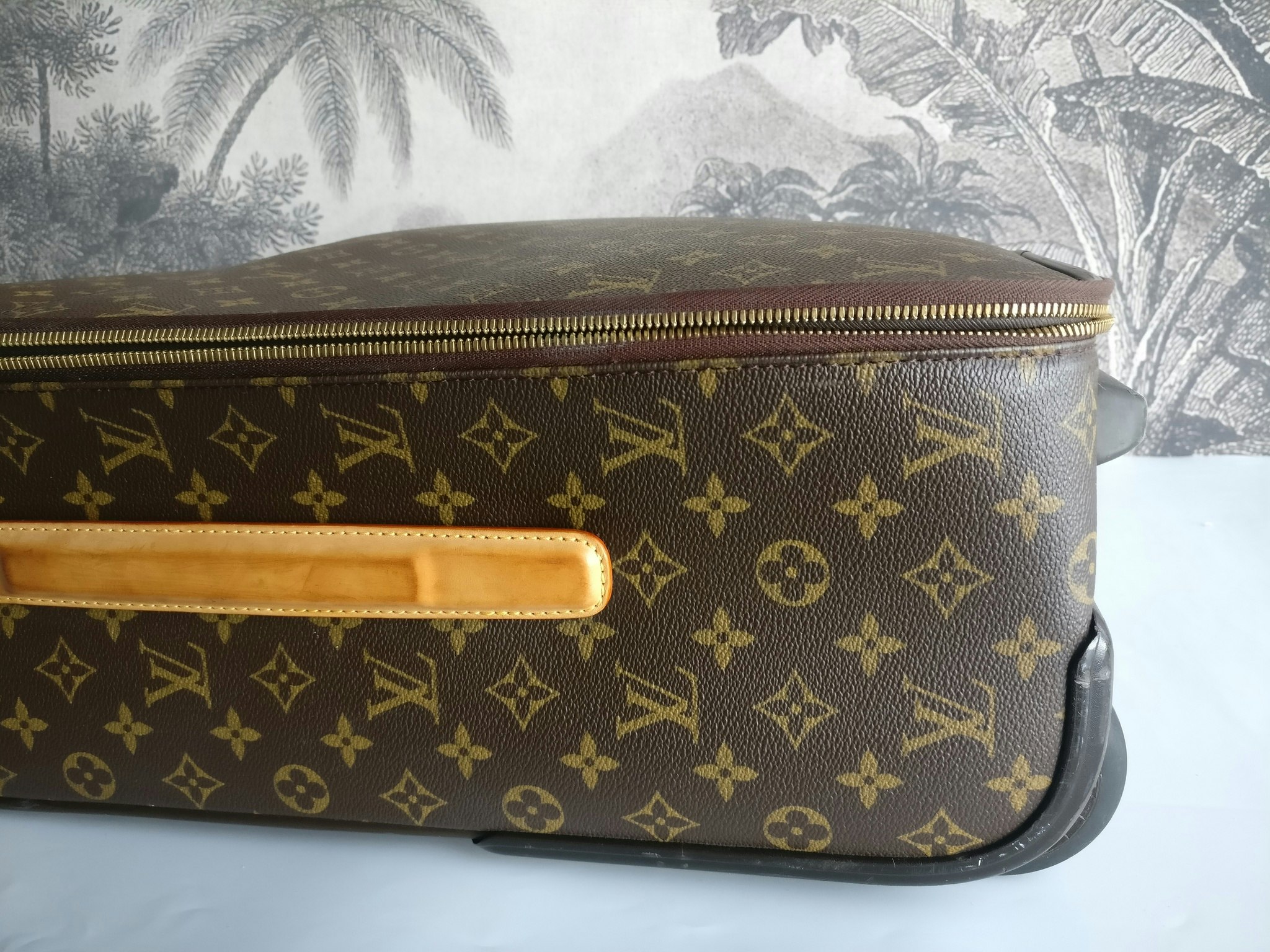Louis Vuitton Pegase 55 with bag cover