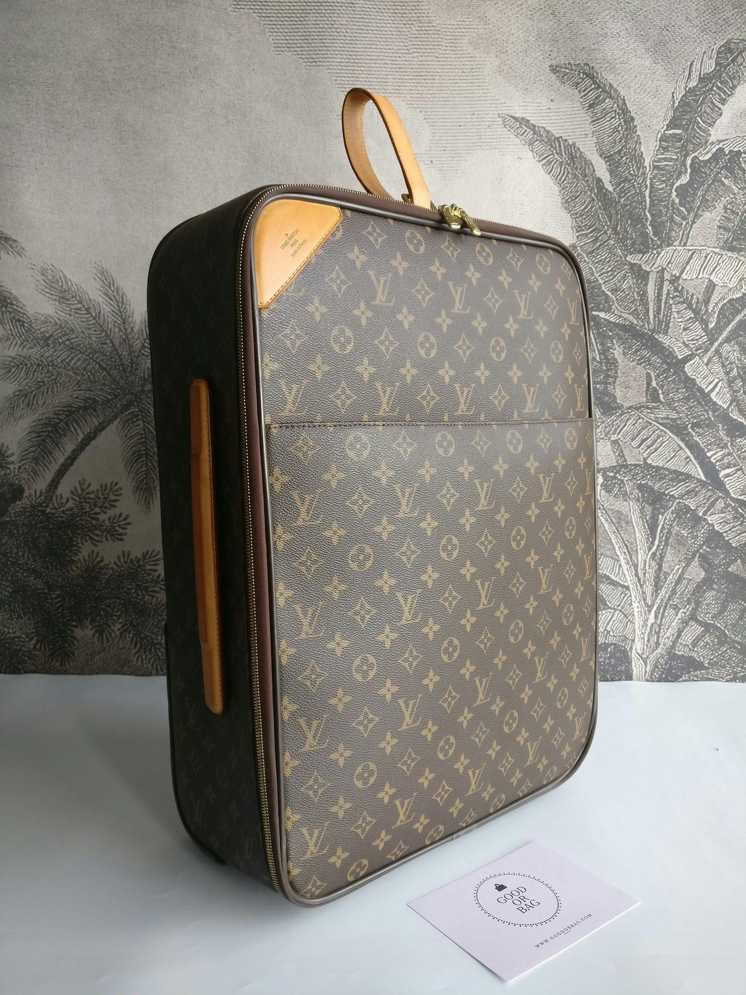 Louis Vuitton Pegase 55 with bag cover
