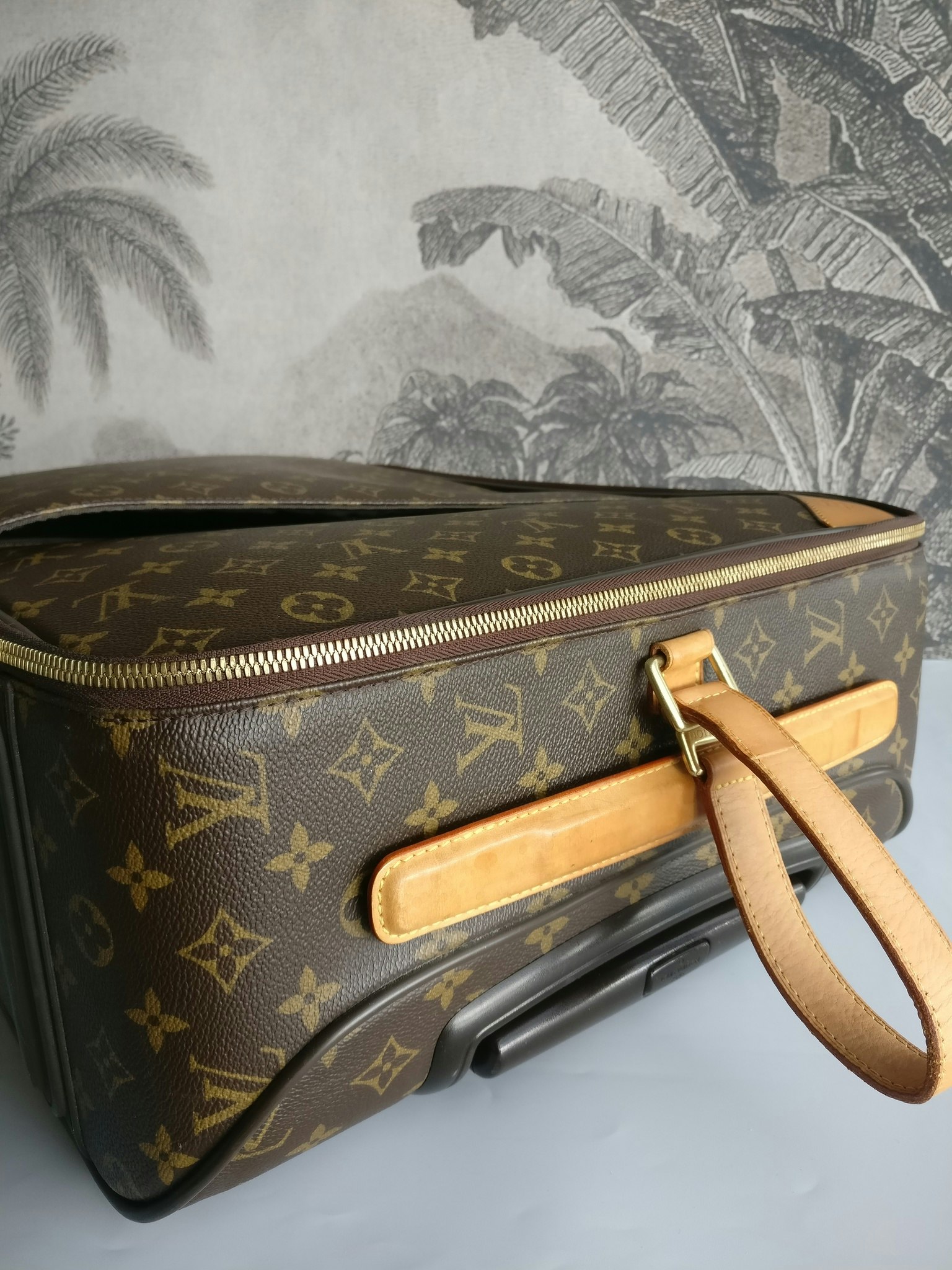 Louis Vuitton Pegase 55 with bag cover