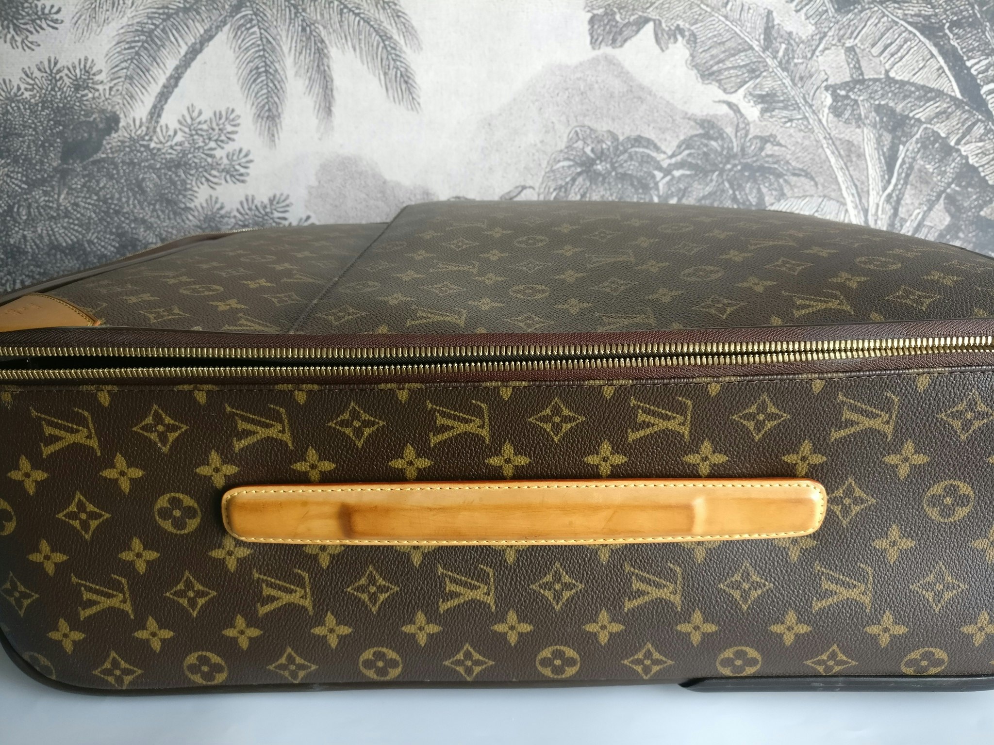 Louis Vuitton Pegase 55 with bag cover